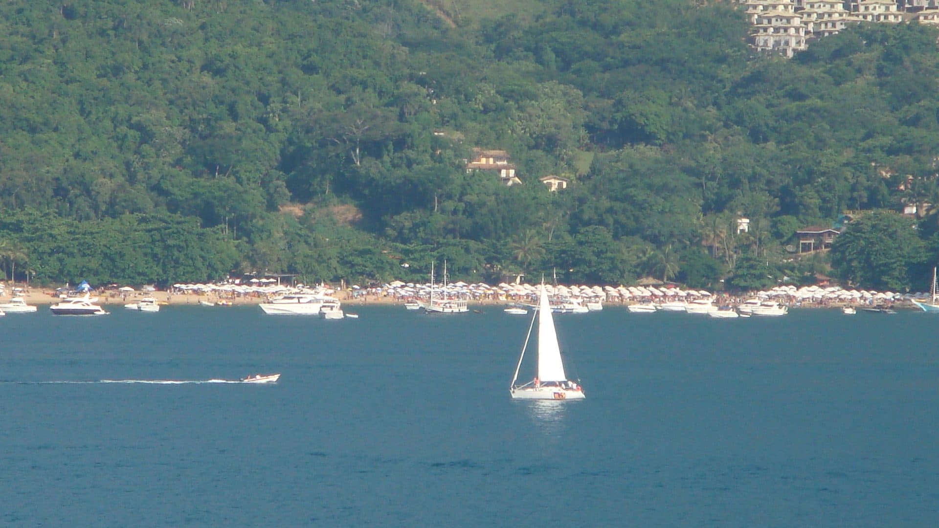 Praia do Curral