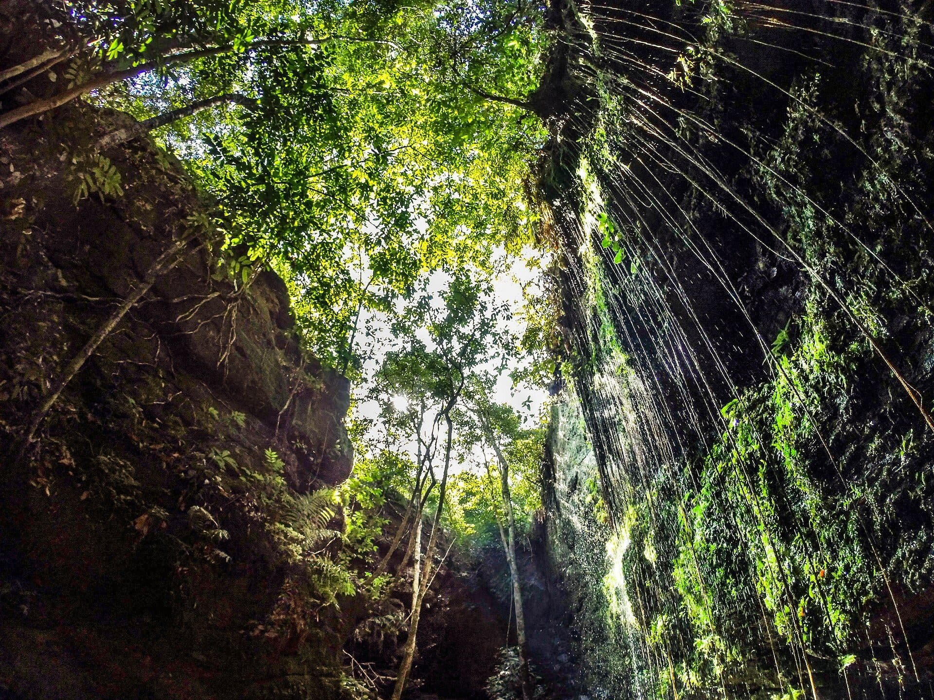 Vista do Cânion do Sussuapara com paredões de rocha úmidos e vegetação