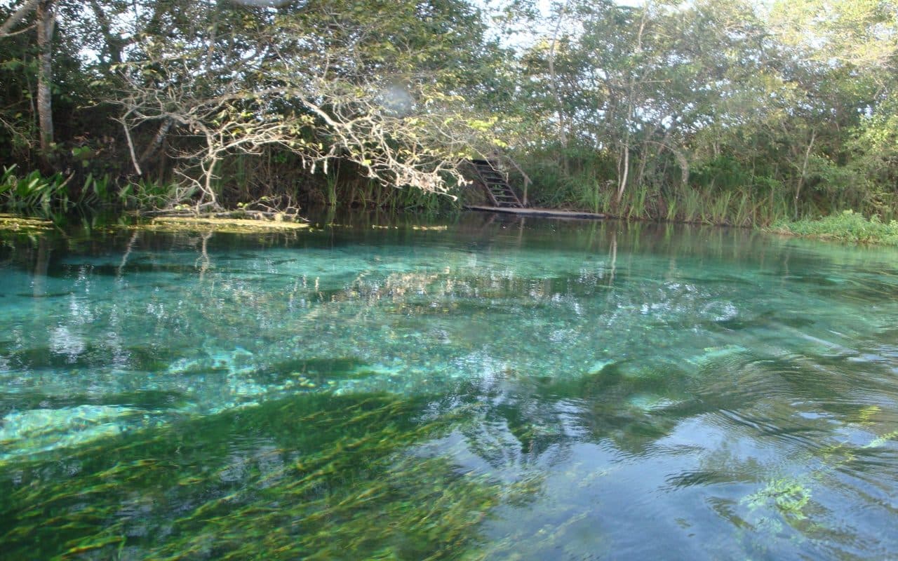 Rio Sucuri