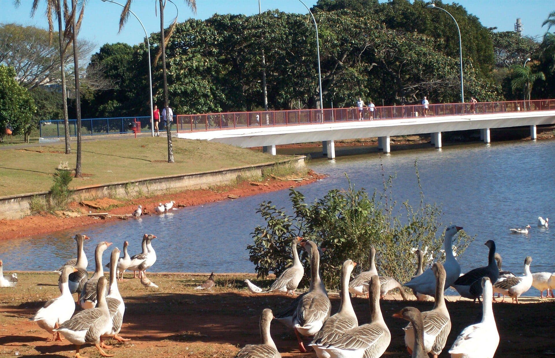 Parque da Cidade Sarah Kubitschek