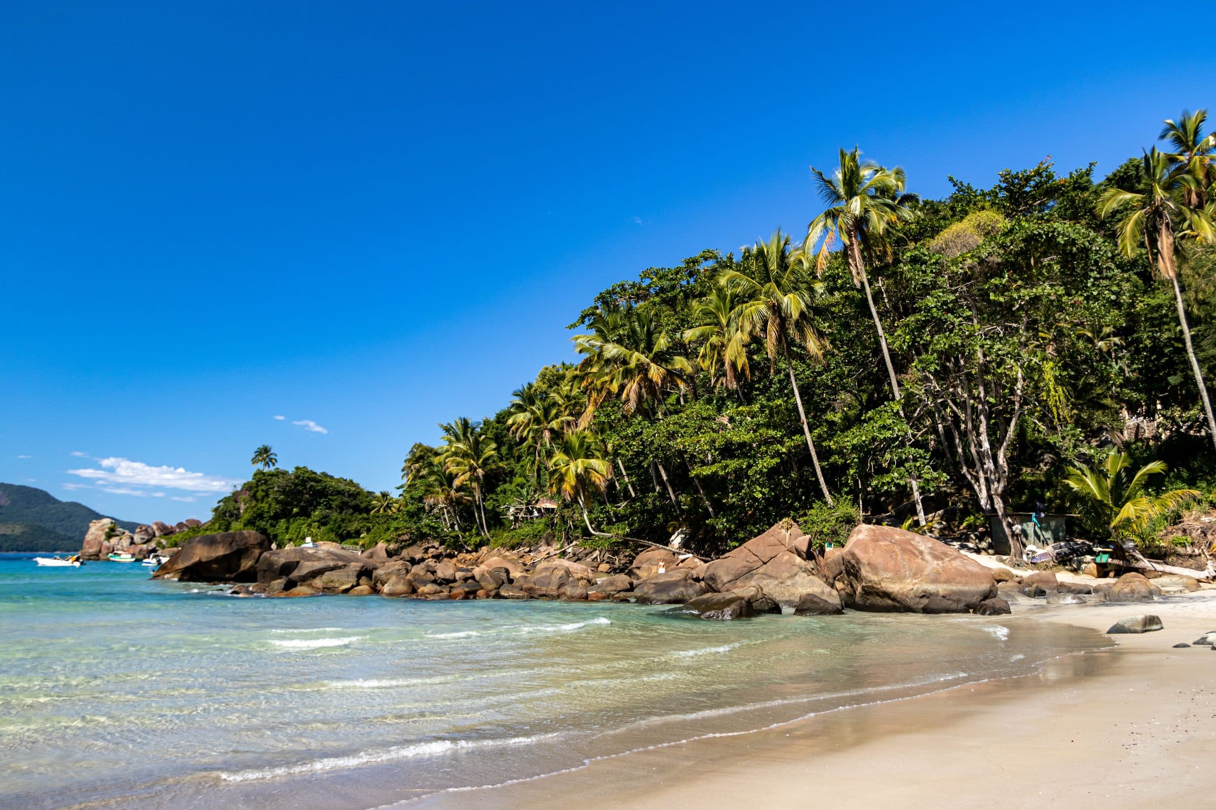 Vista de praia com palmeiras e rochas em Angra dos Reis