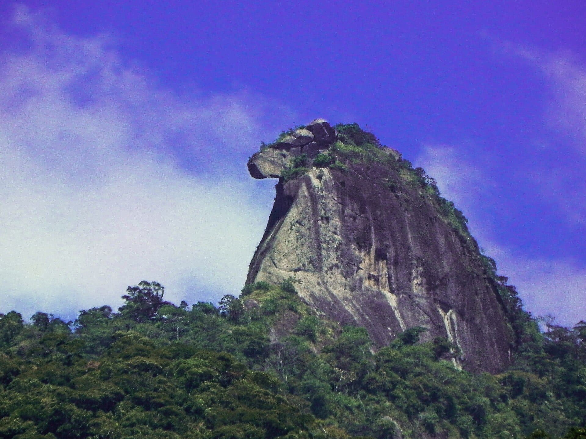 Vista do Pico do Papagaio na Ilha Grande, Rio de Janeiro