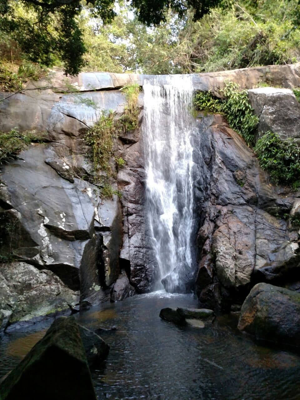 Queda d'água da Cachoeira da Feiticeira em meio à mata na Ilha Grande