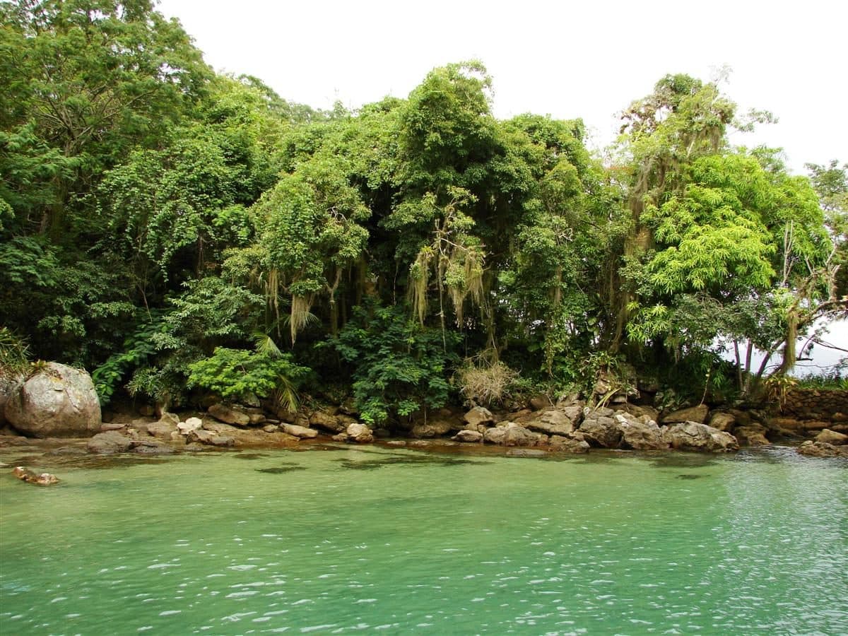 Vista da Lagoa Verde em Ilha Grande, Rio de Janeiro