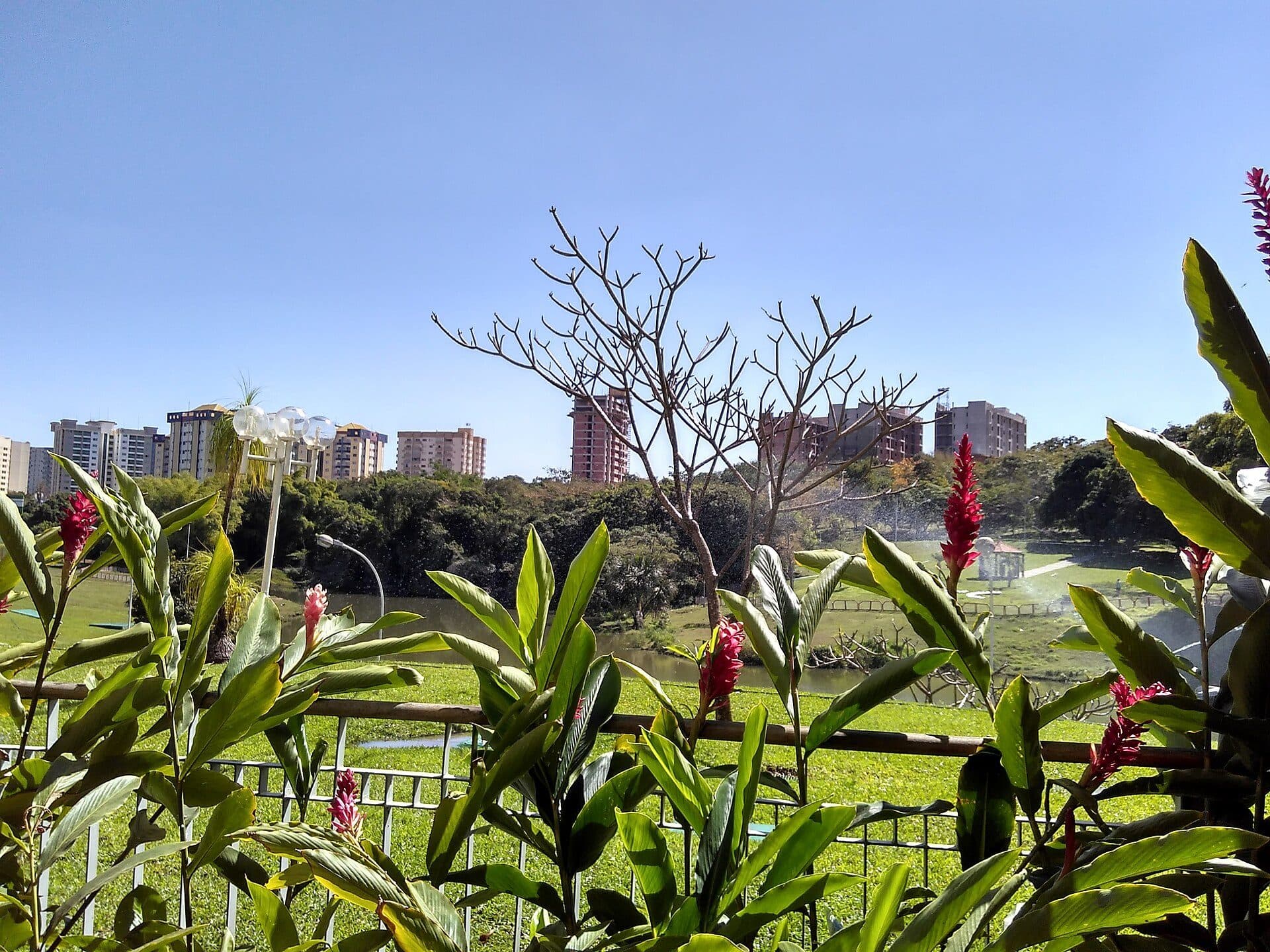 Vista do Lago dos Sonhos em Caldas Novas