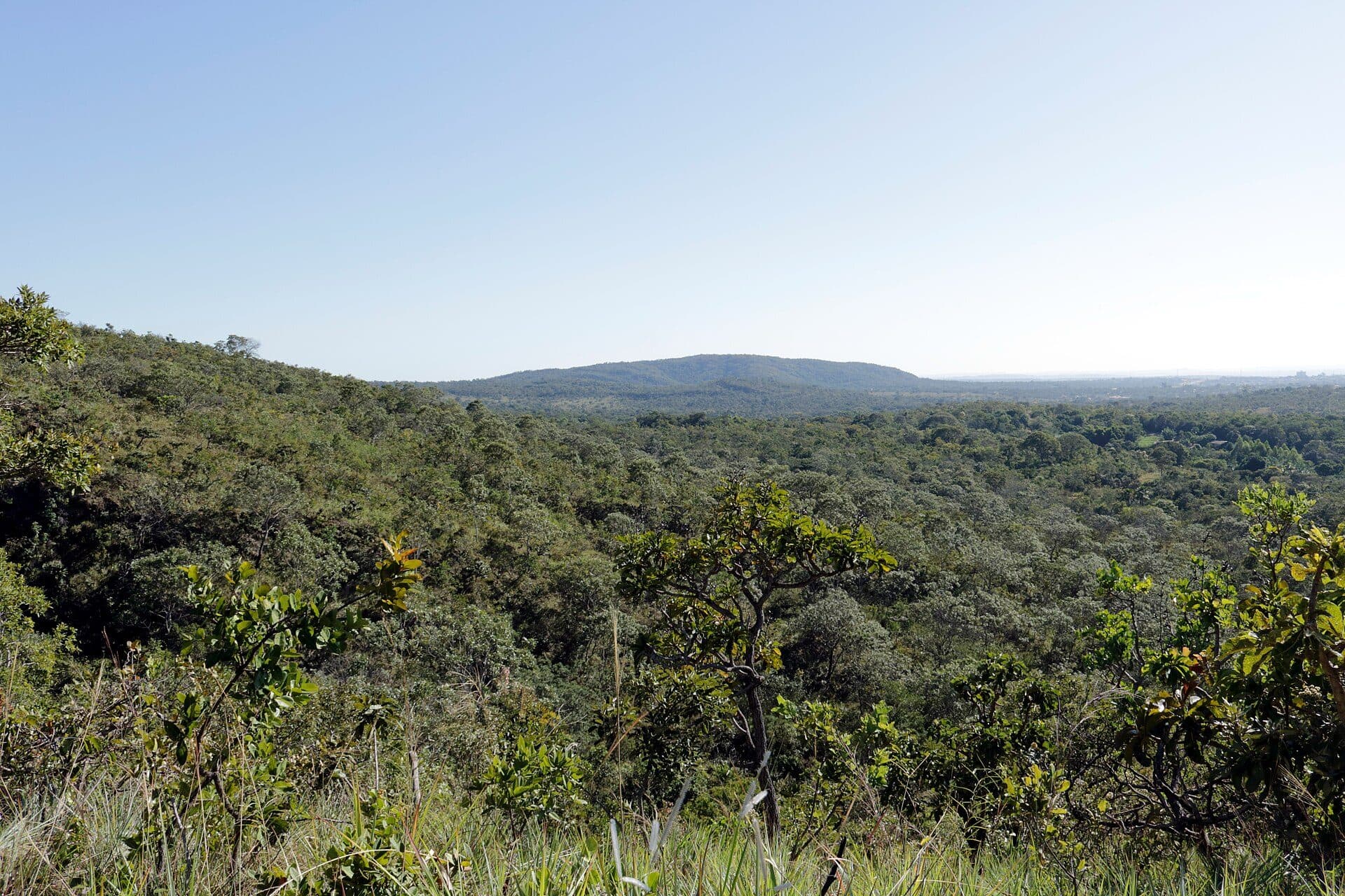Paisagem com vegetação típica do Cerrado na Serra de Caldas