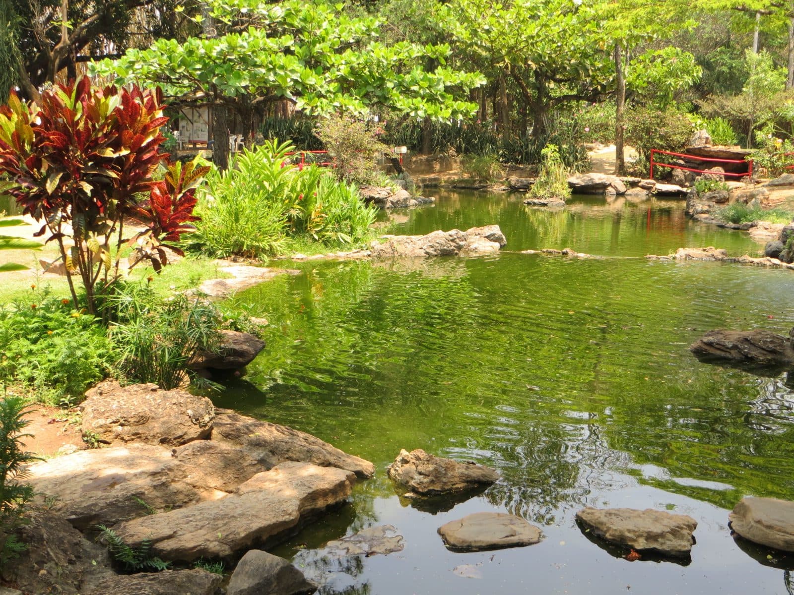 Vista do Jardim Japonês em Caldas Novas