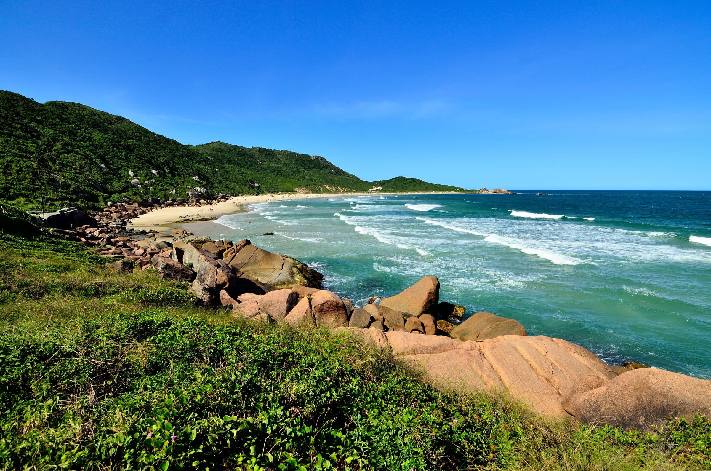 Vista da Praia da Galheta com vegetação verde e o mar em Florianópolis