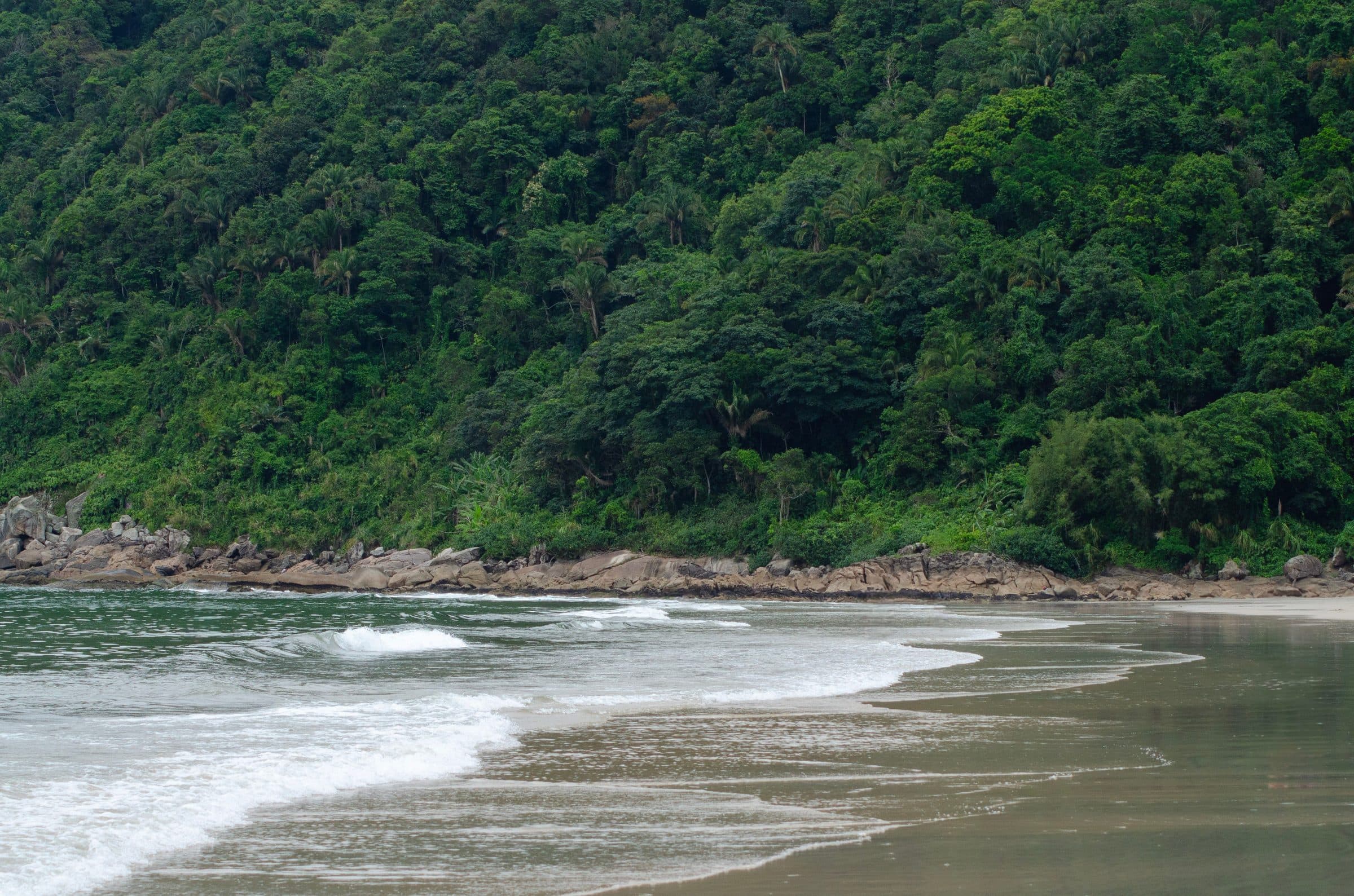 Praia cercada por mata verde em Guarujá, São Paulo