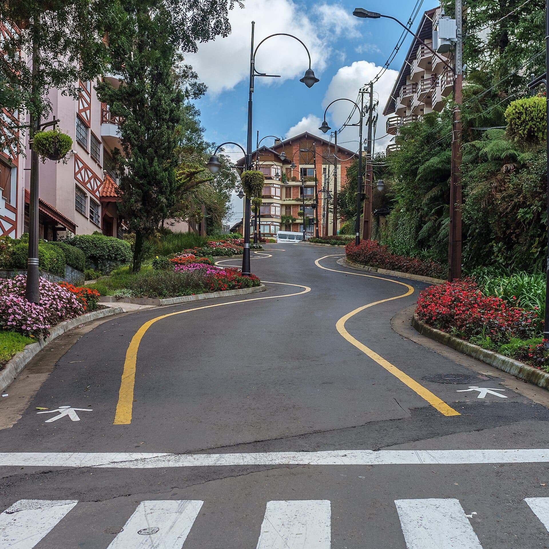 Vista de uma rua florida com canteiros de plantas e flores