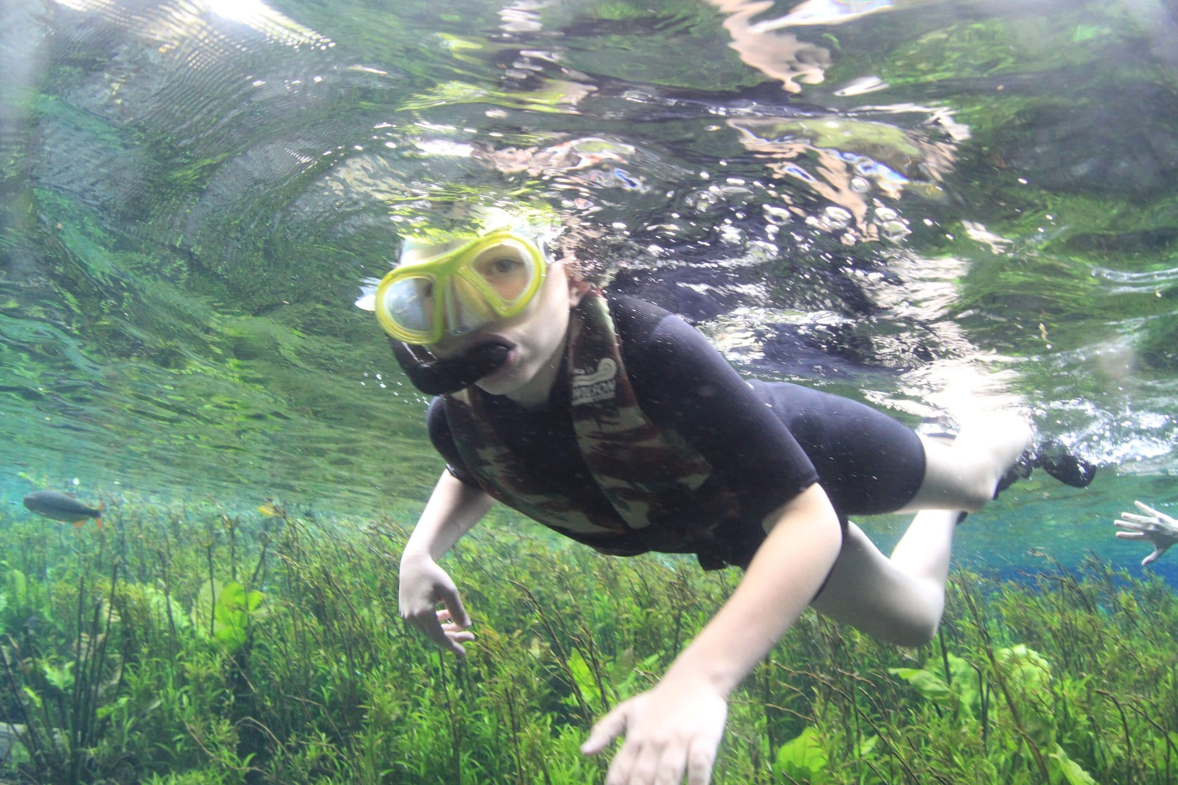 Pessoa praticando mergulho com snorkel nas águas transparentes de Bonito