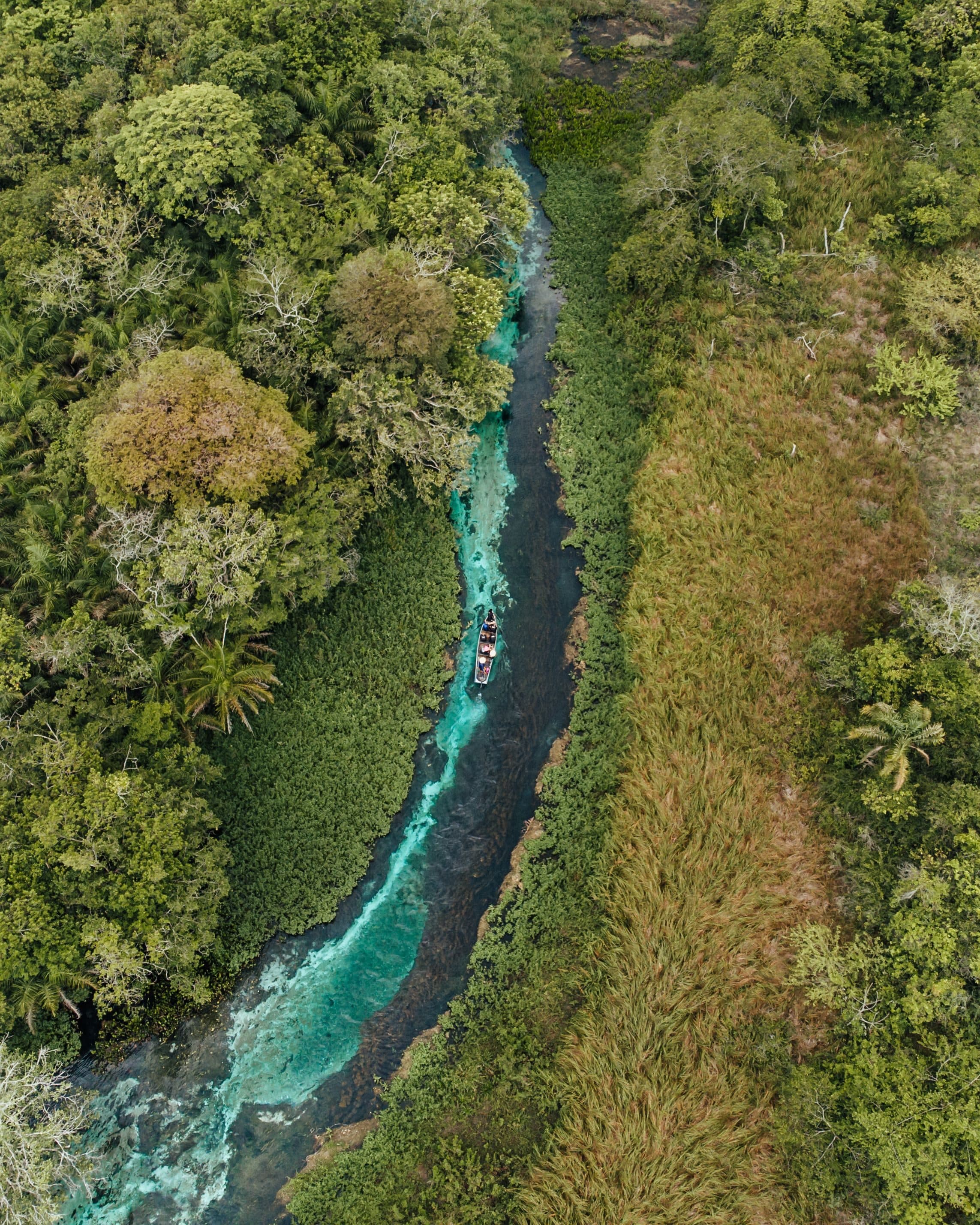 Rio de águas cristalinas cercado por vegetação tropical em Bonito