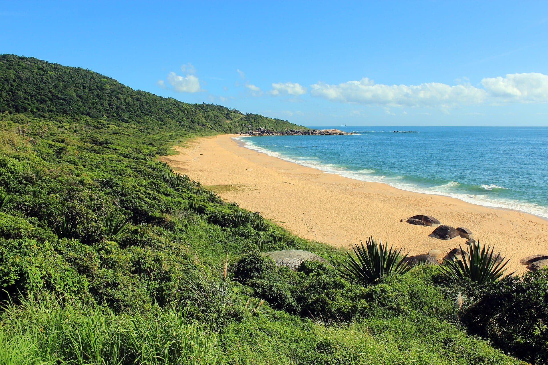 Vista da Praia de Taquarinhas com faixa de areia e mar
