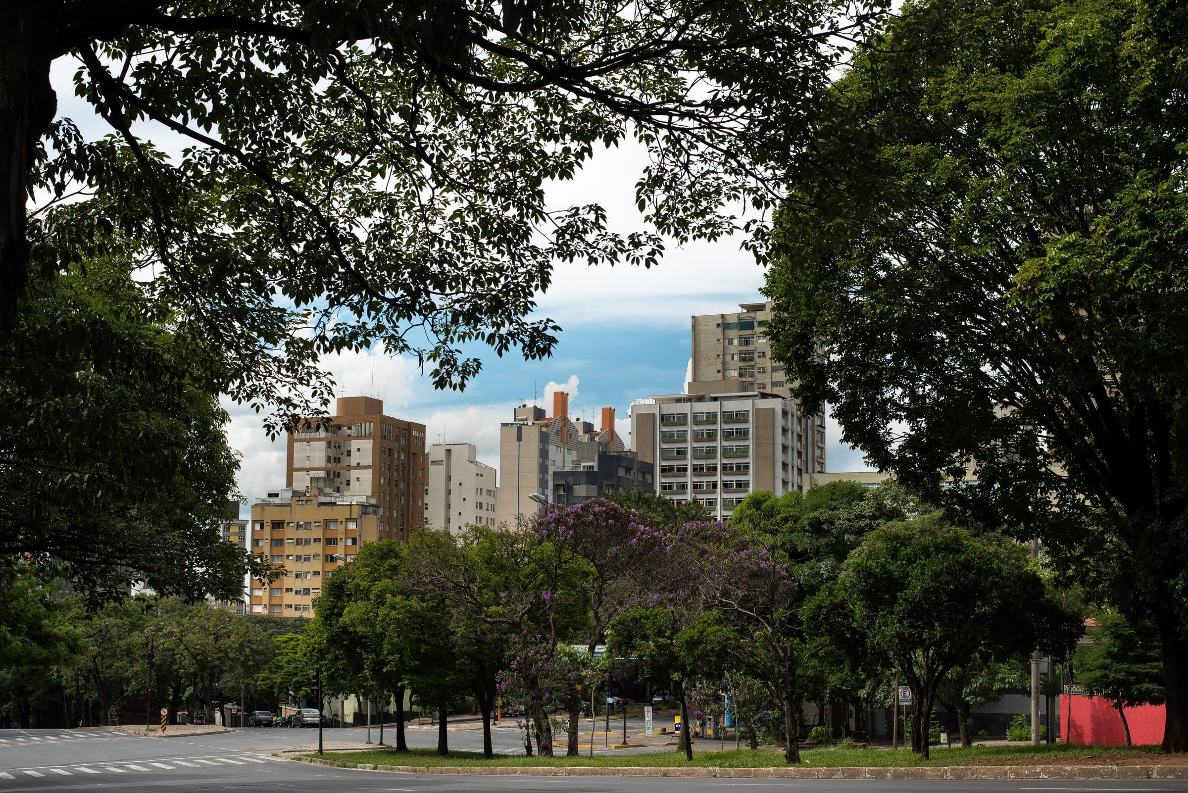 Vista dos prédios modernos de Belo Horizonte emoldurados por árvores em uma rua tranquila