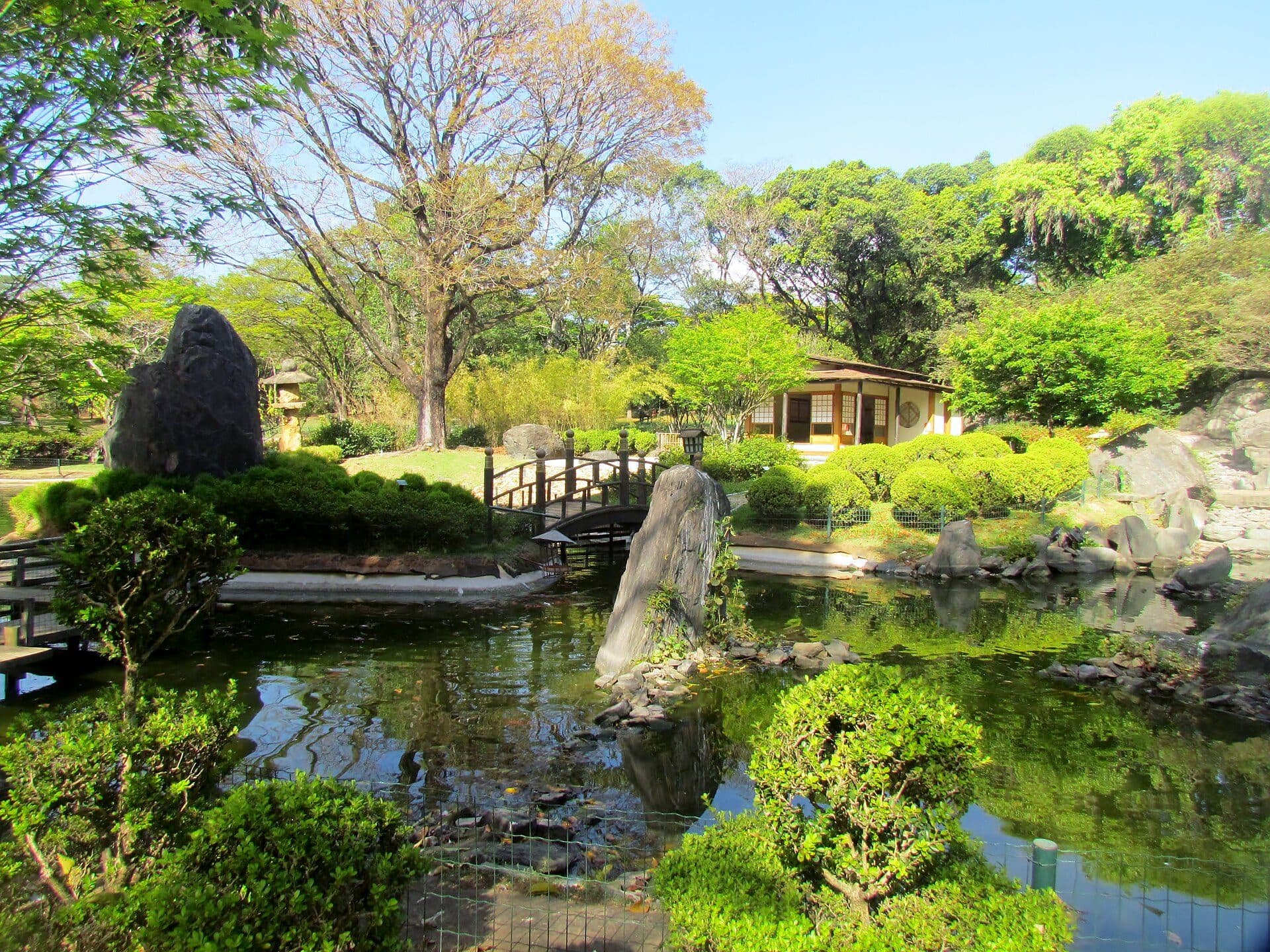 Vista do Jardim Japonês no Jardim Botânico de Belo Horizonte