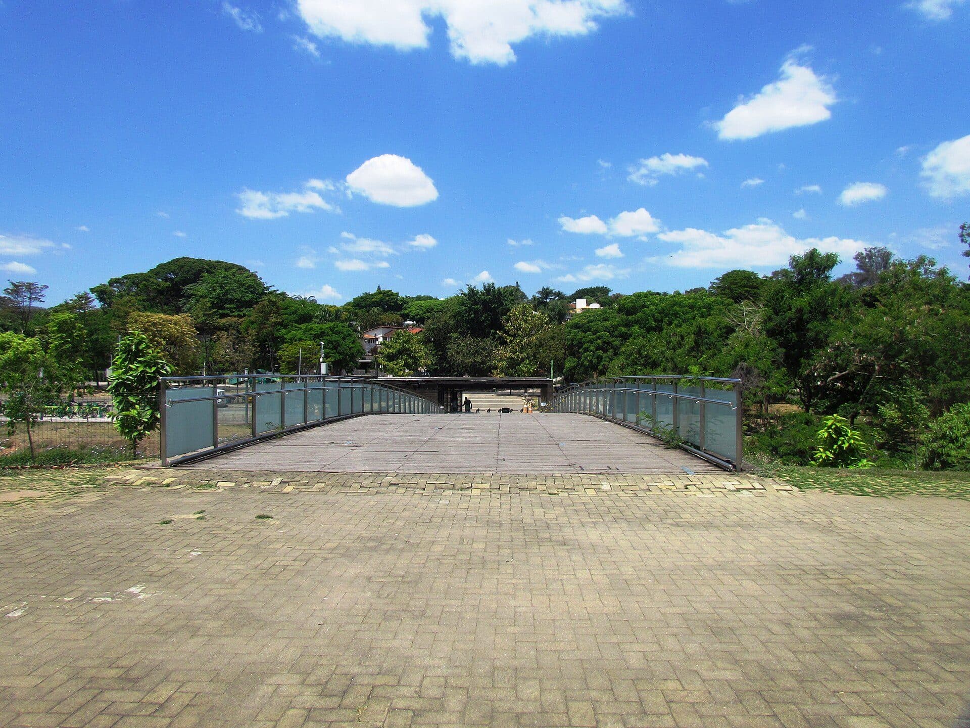 Vista da área verde do Parque Ecológico da Pampulha