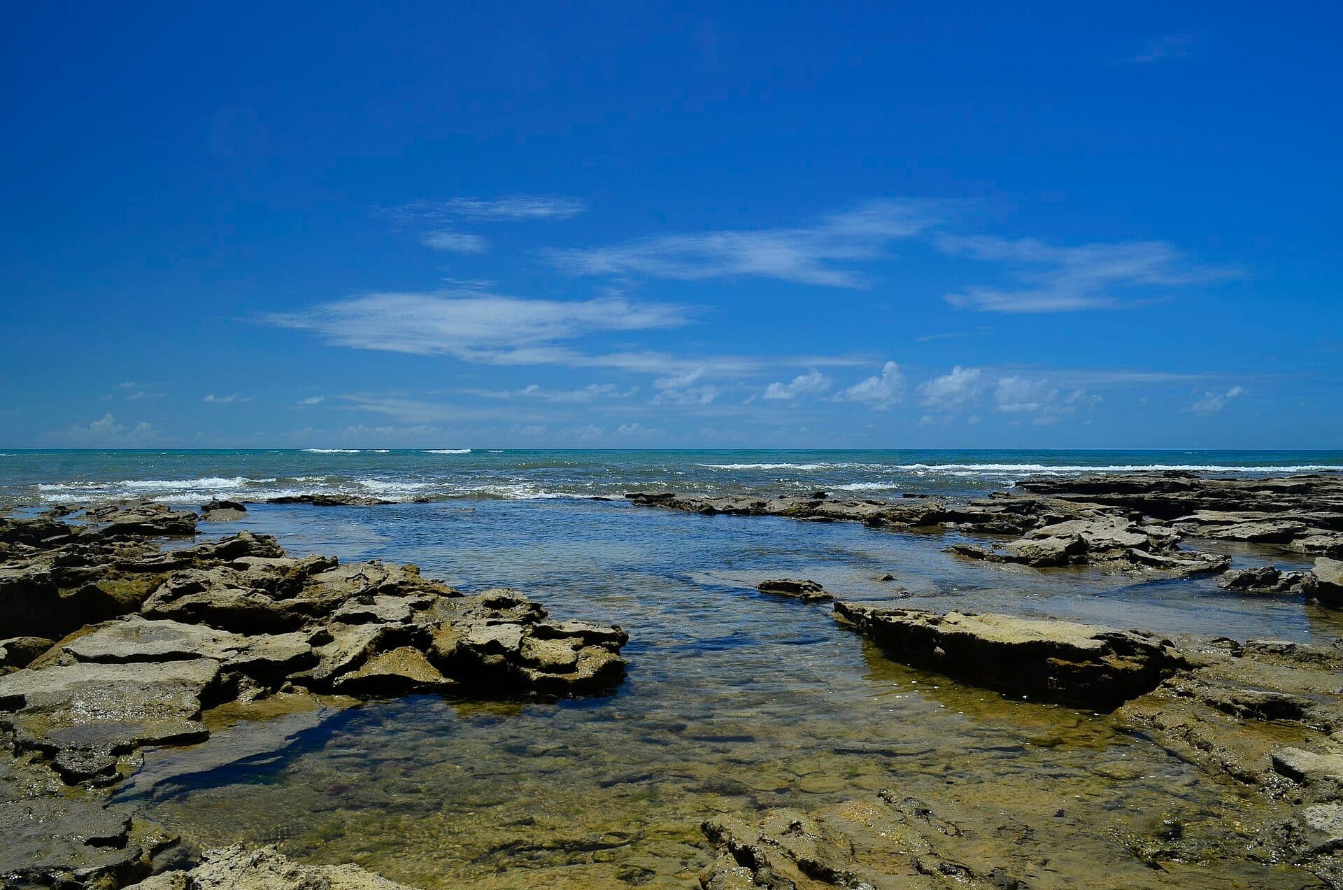 Recifes de corais na costa de Arraial d'Ajuda