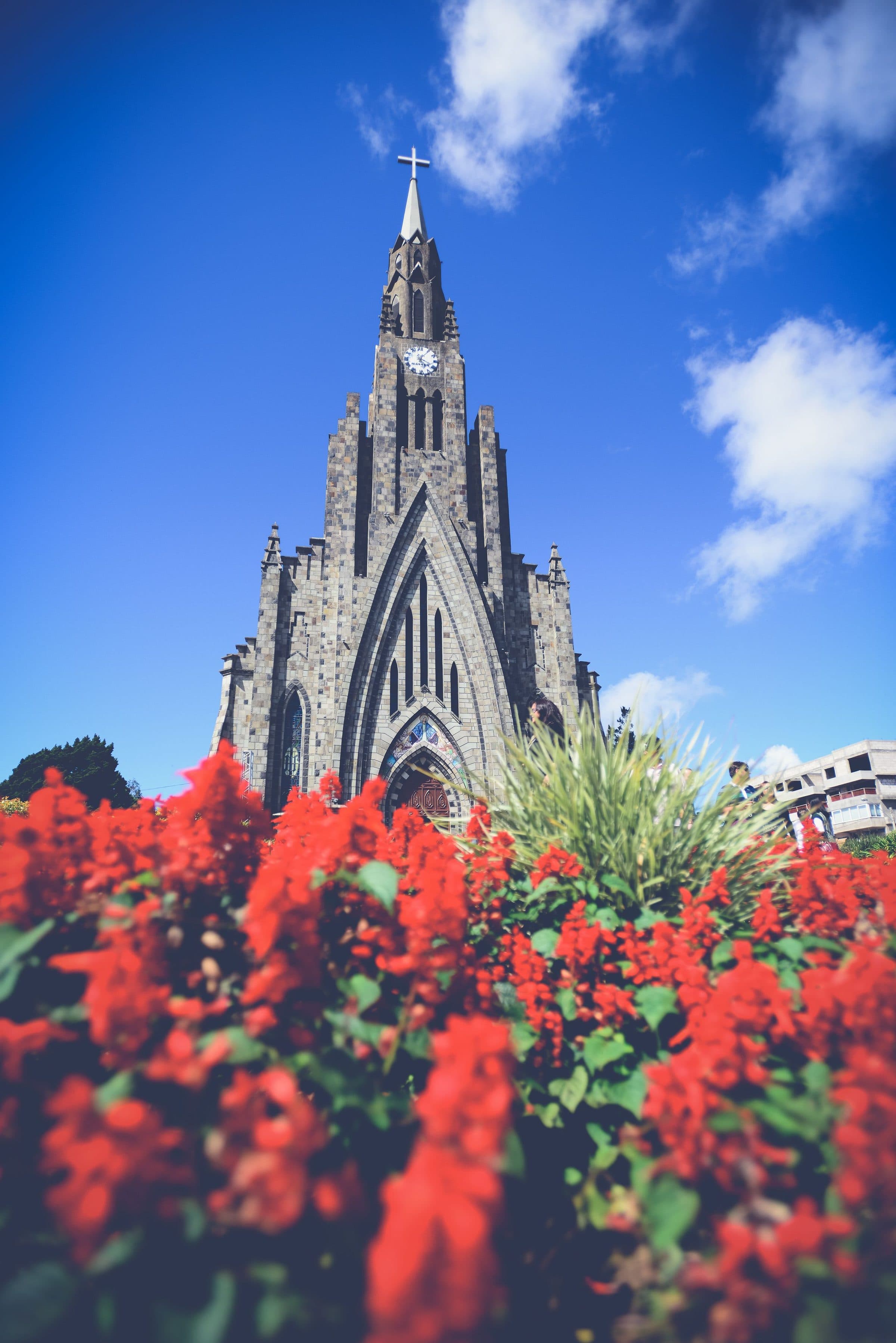 Catedral de Pedra em Canela emoldurada por flores vermelhas sob céu limpo