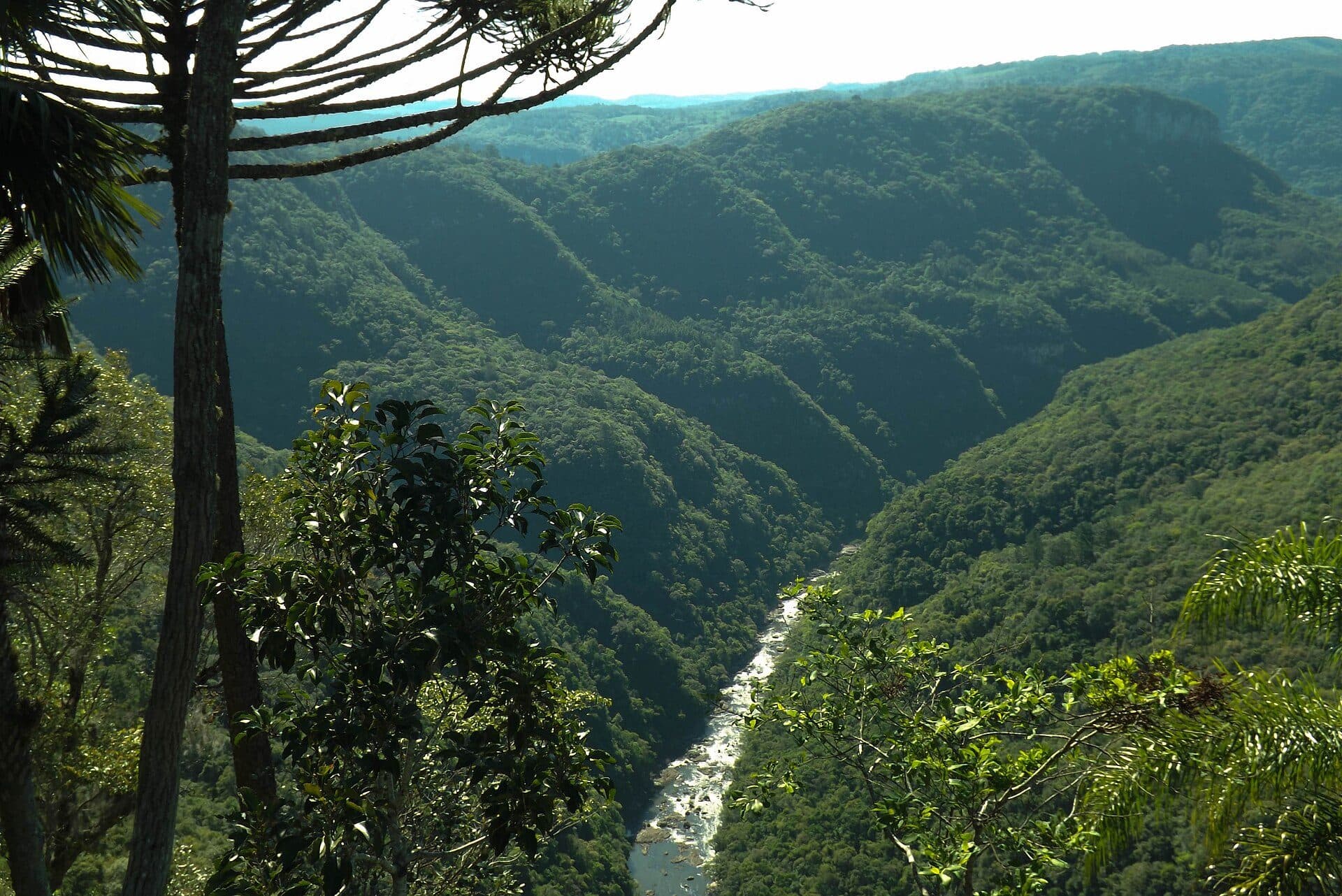 Vista panorâmica da paisagem natural no Vale da Ferradura