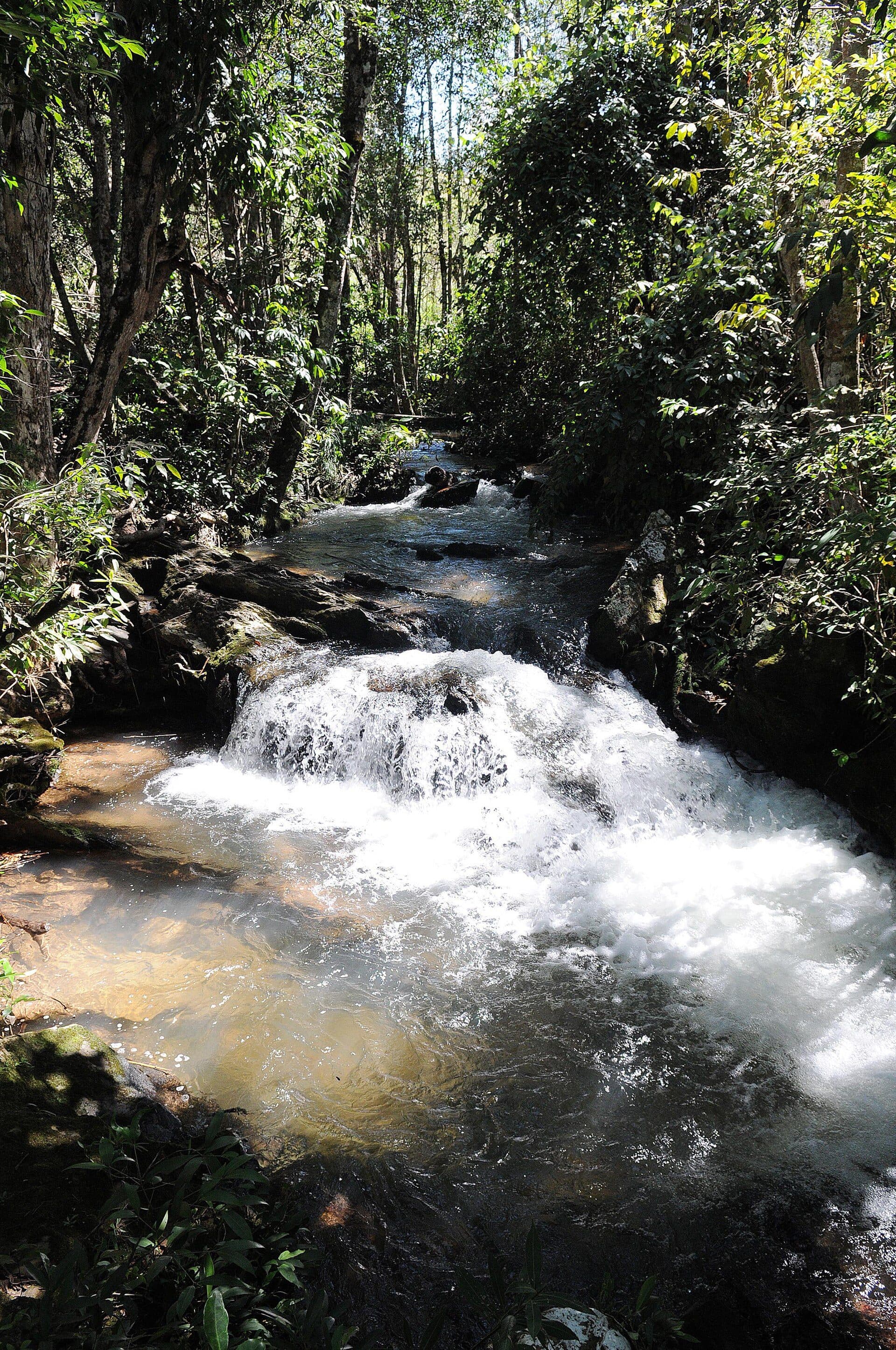 Cachoeira Salto do Tororó cercada por vegetação no Parque Distrital Salto do Tororó em Brasília