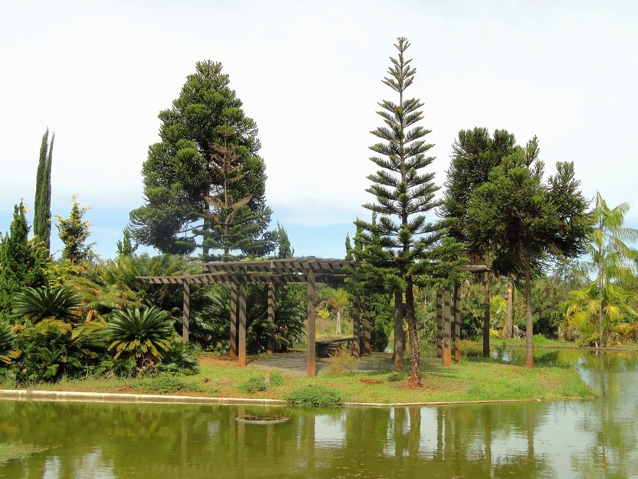 Lago cercado por árvores com reflexos do céu e nuvens na água no Jardim Botânico de Brasília.