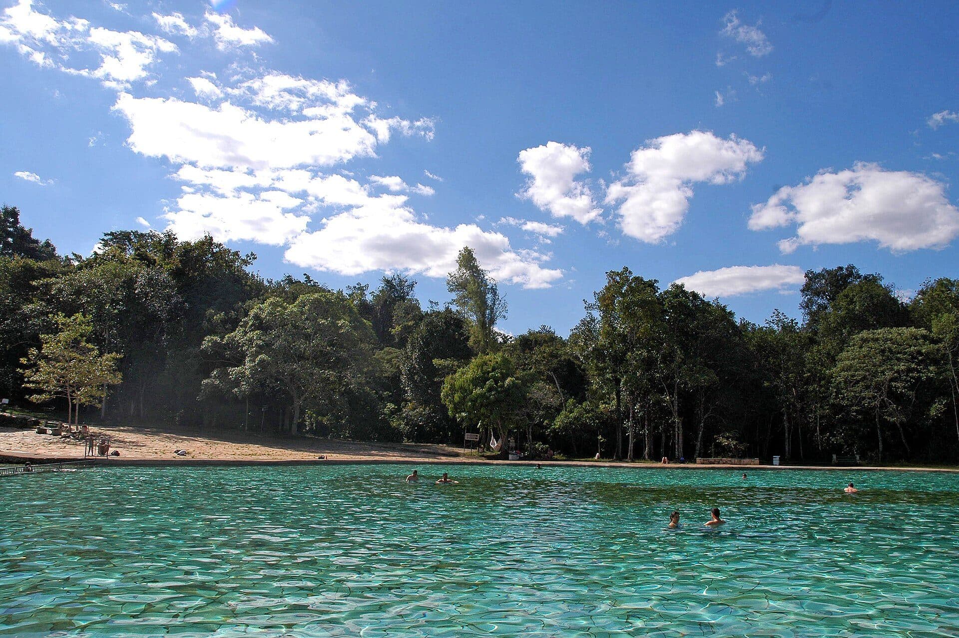 Vista da vegetação nativa no Parque Nacional de Brasília