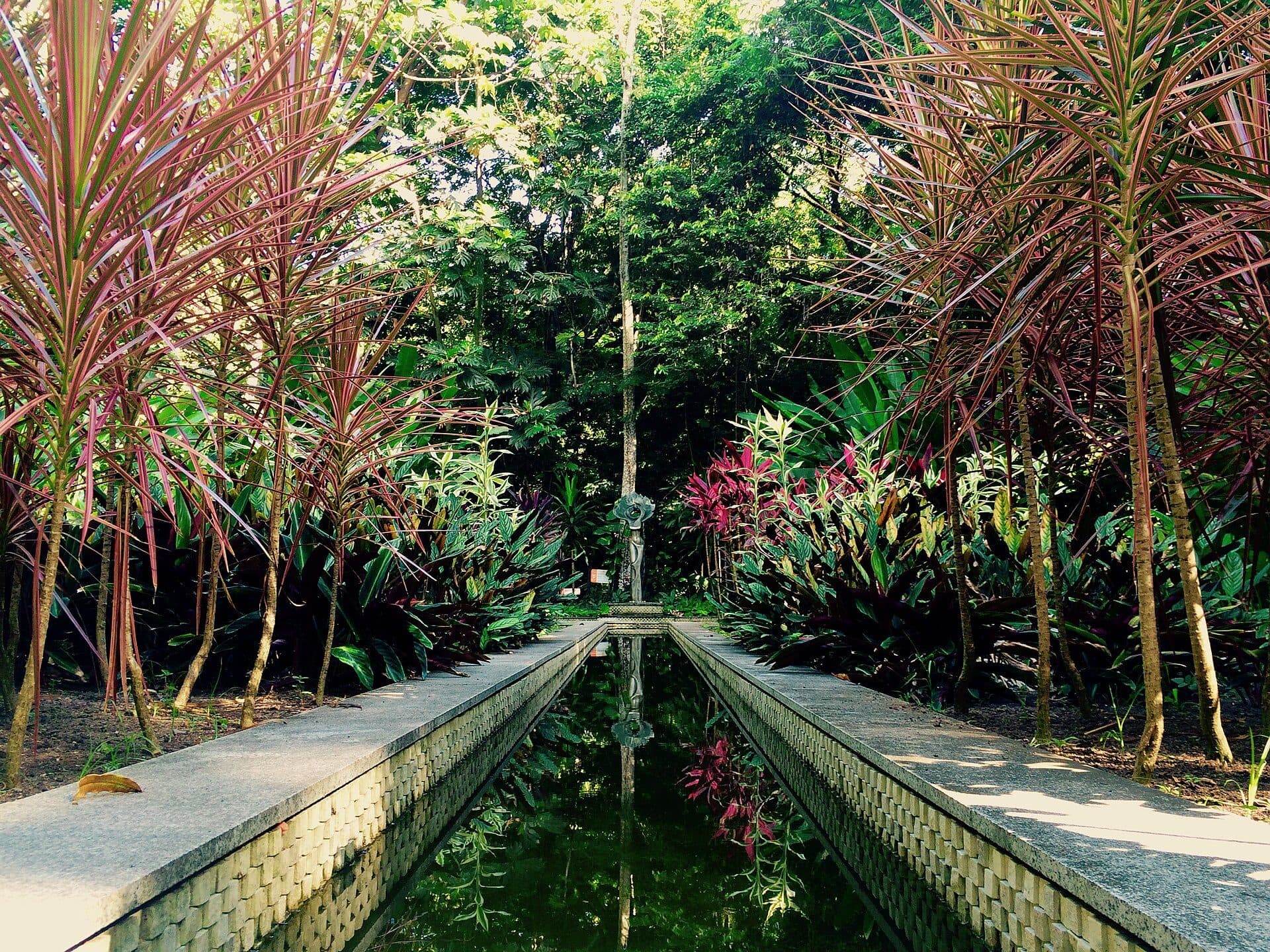 Área verde com vegetação preservada no Jardim Botânico do Recife