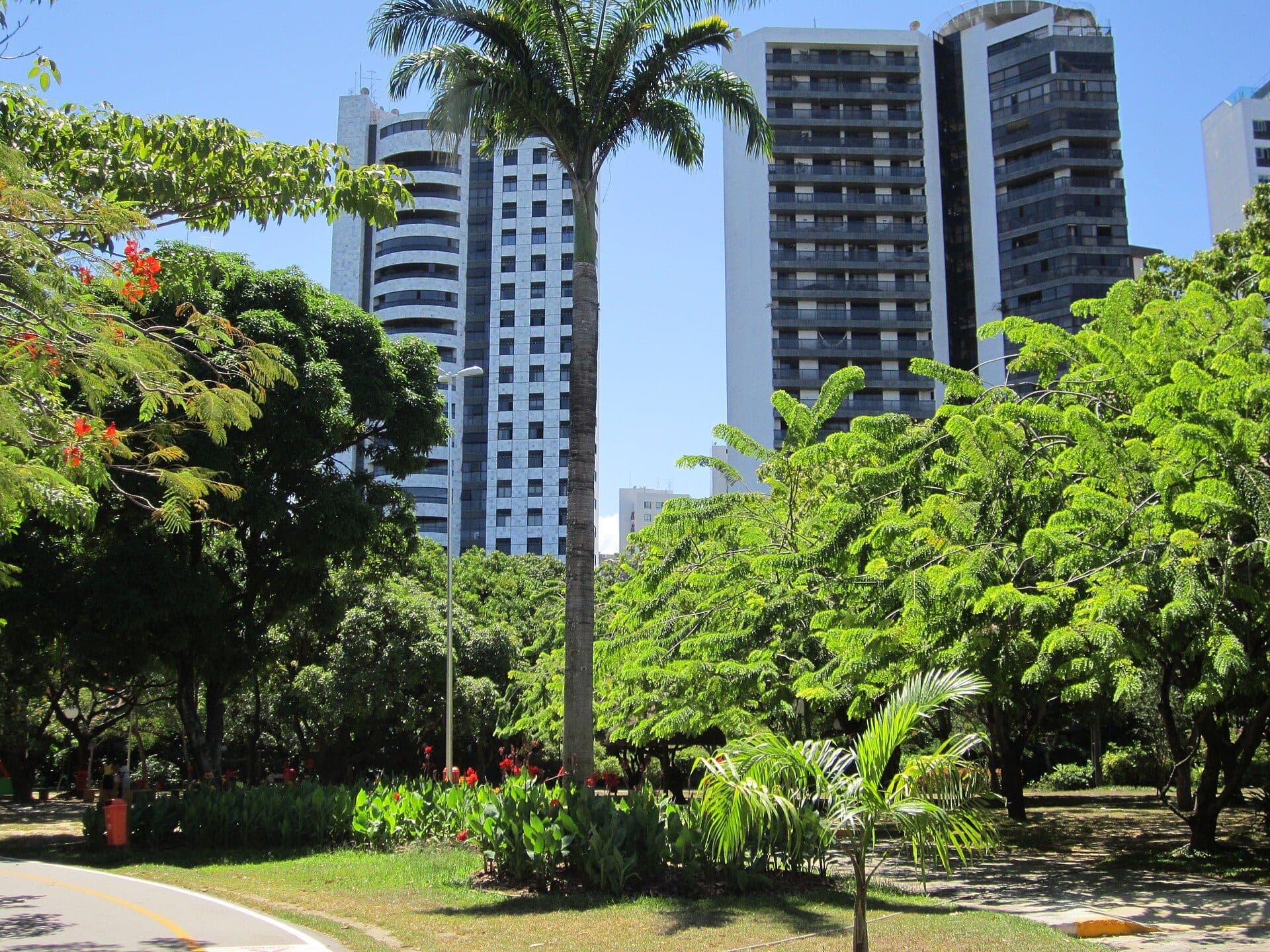 Vista da área verde do Parque da Jaqueira em Recife