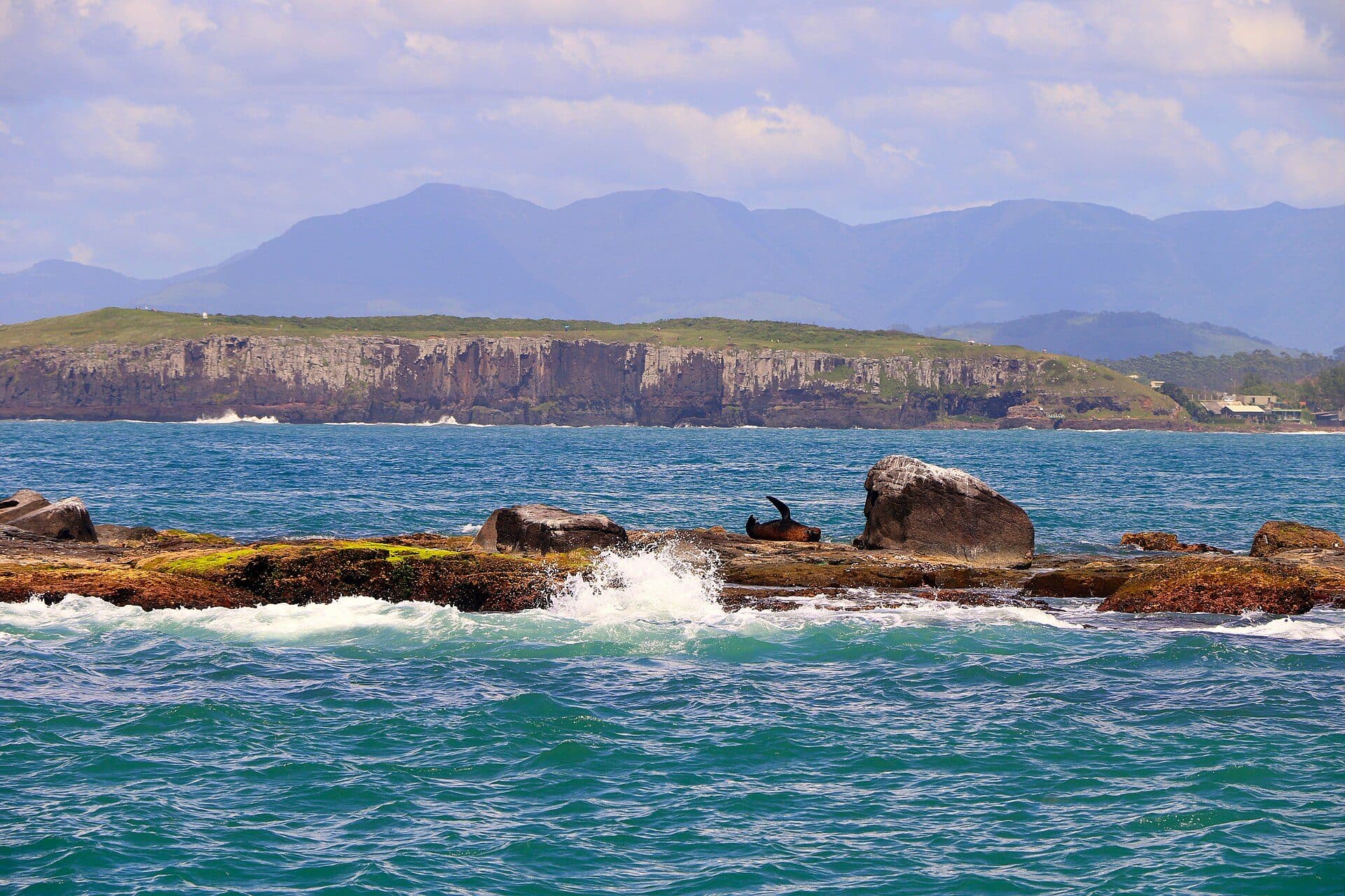 Vista da Ilha dos Lobos com o Parque da Guarita ao fundo