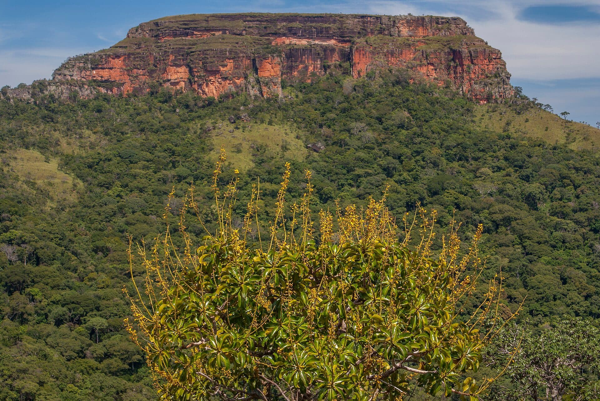Vista do Morro de São Jerônimo na Chapada dos Guimarães