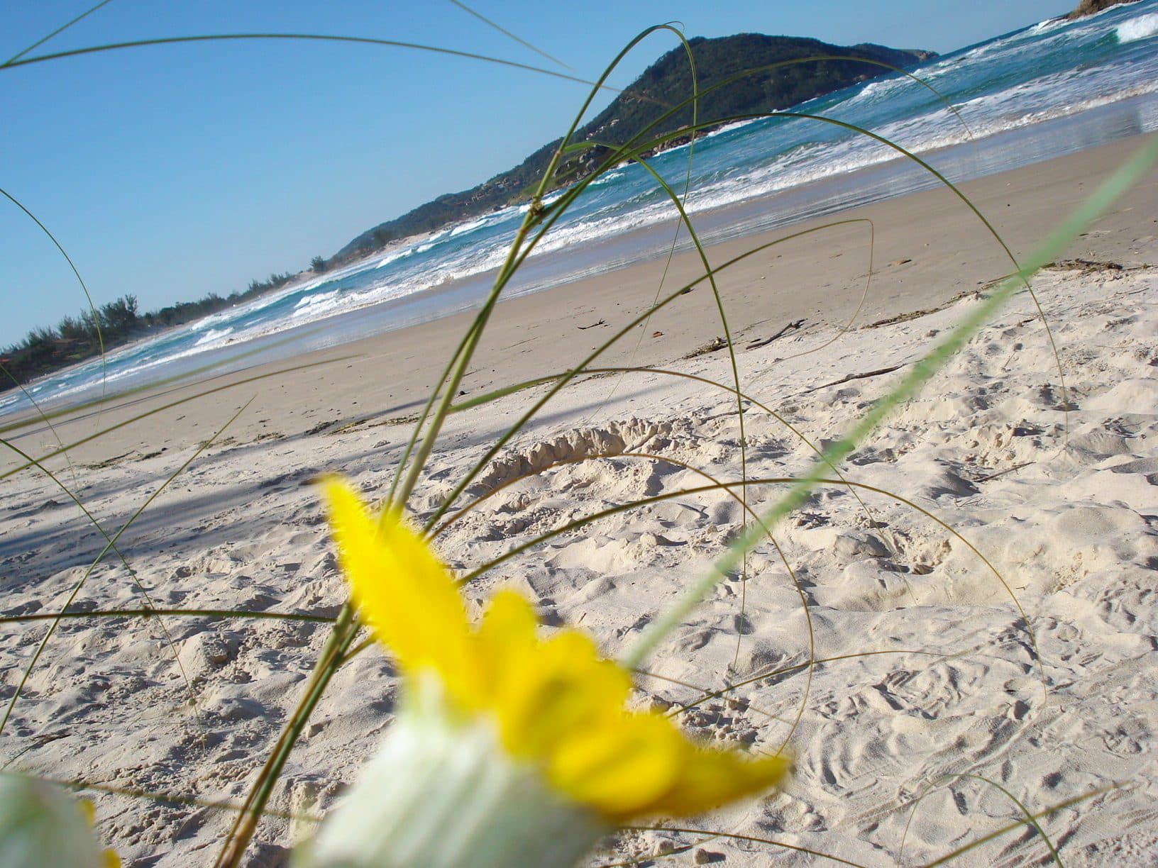 Vista da Praia da Barra em Garopaba, Santa Catarina