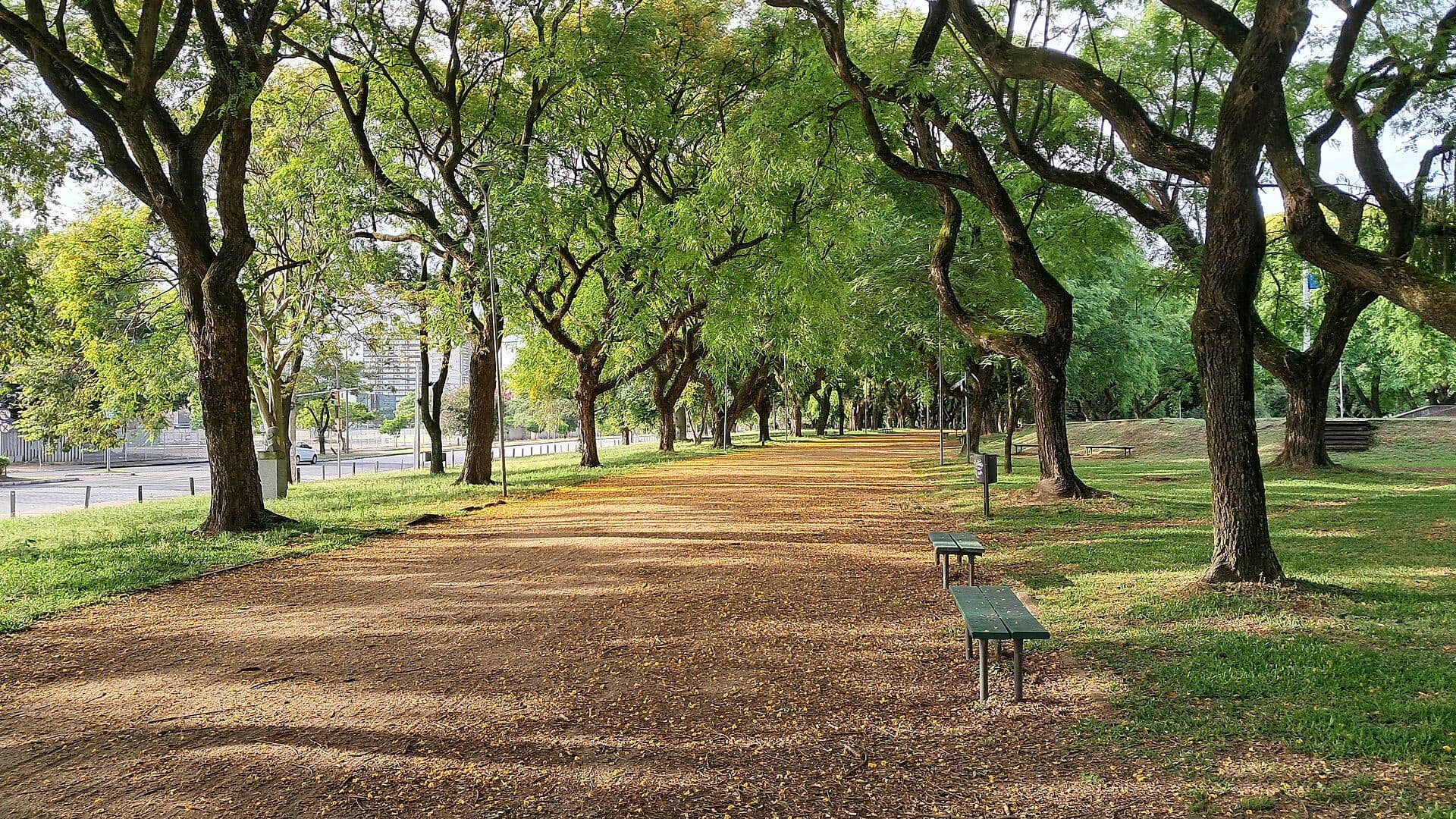 Alameda no Parque Marinha do Brasil em Porto Alegre