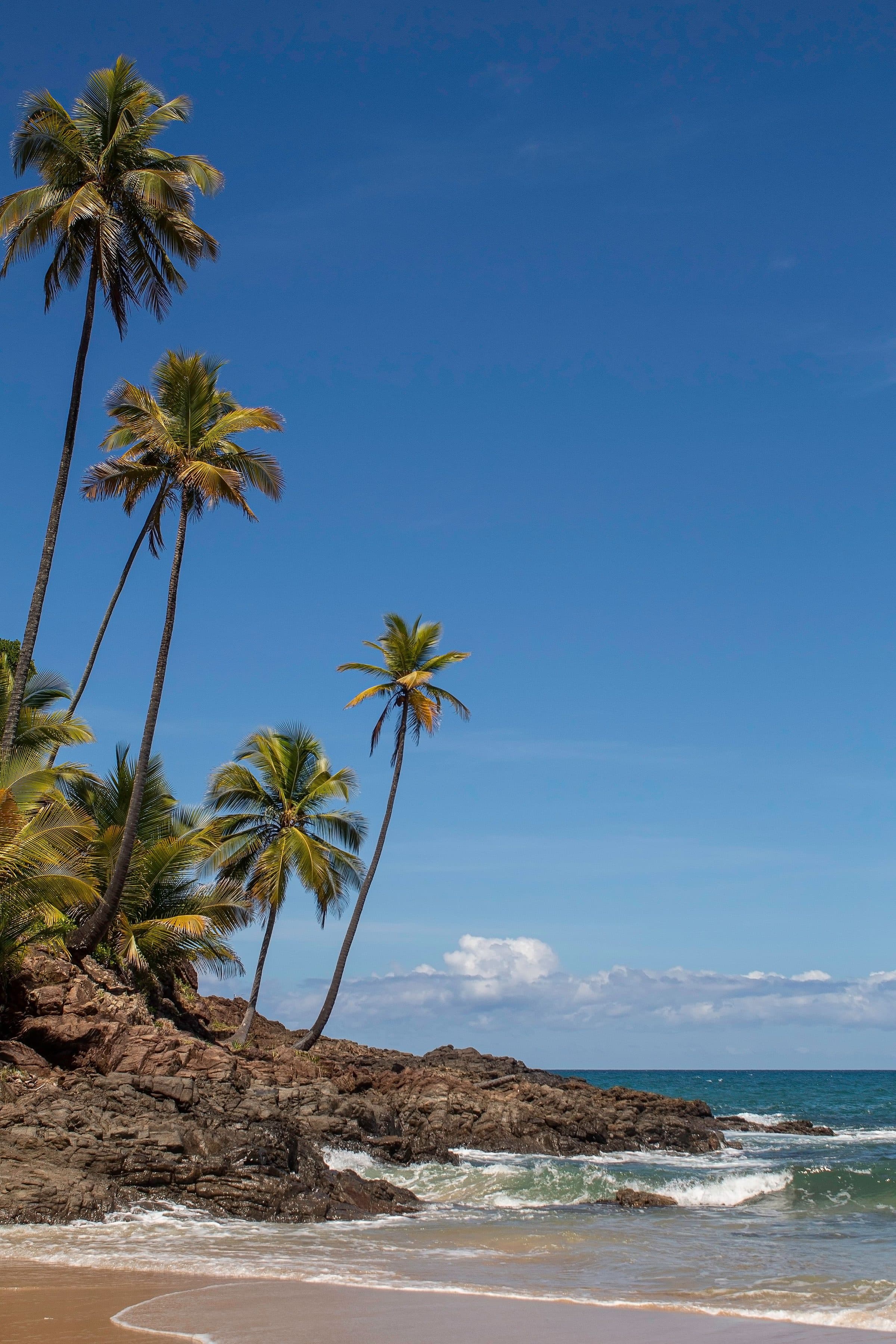 Praia com coqueiros em Itacaré durante um dia de verão