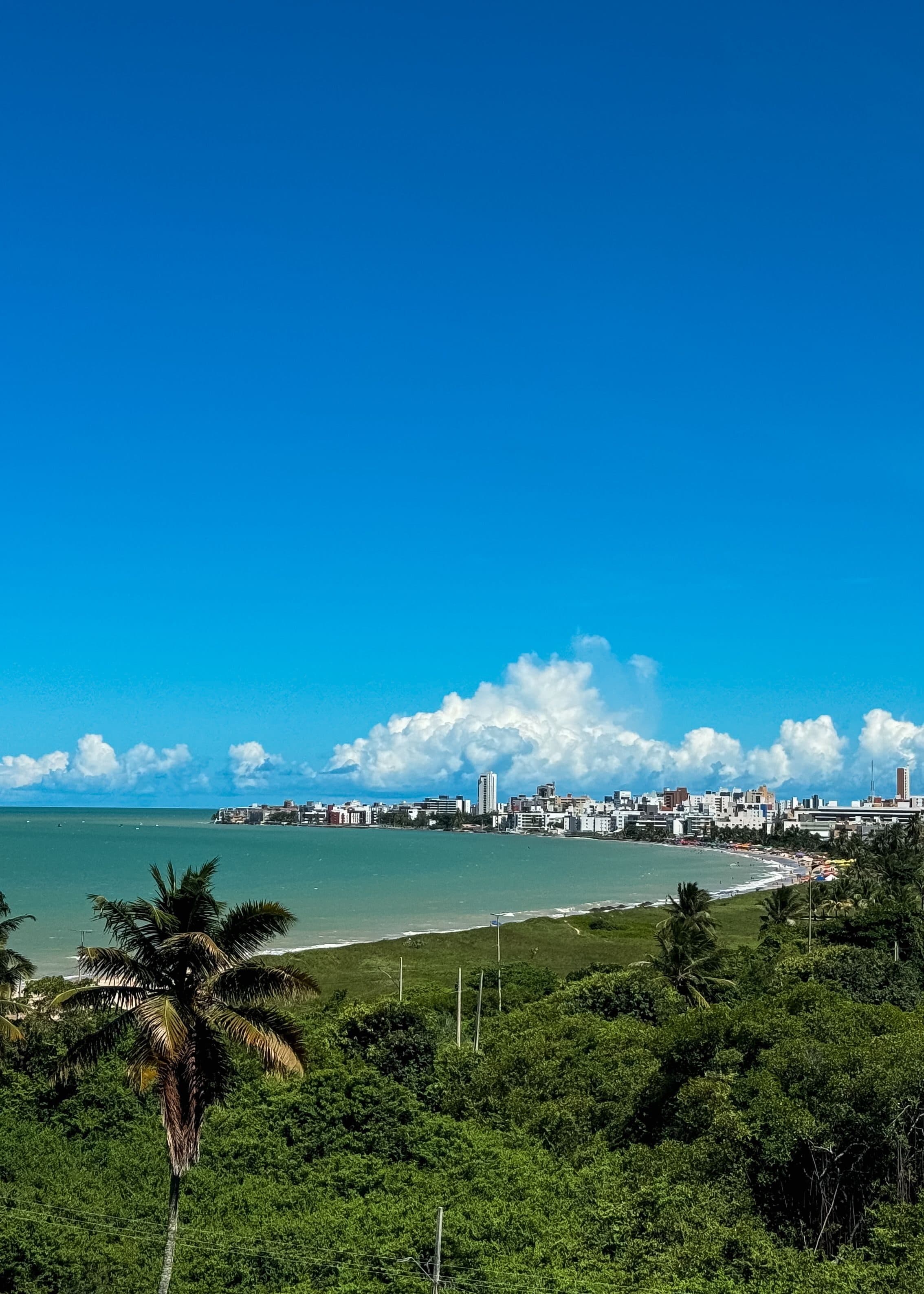 Vista aérea da orla de João Pessoa com vegetação e céu azul