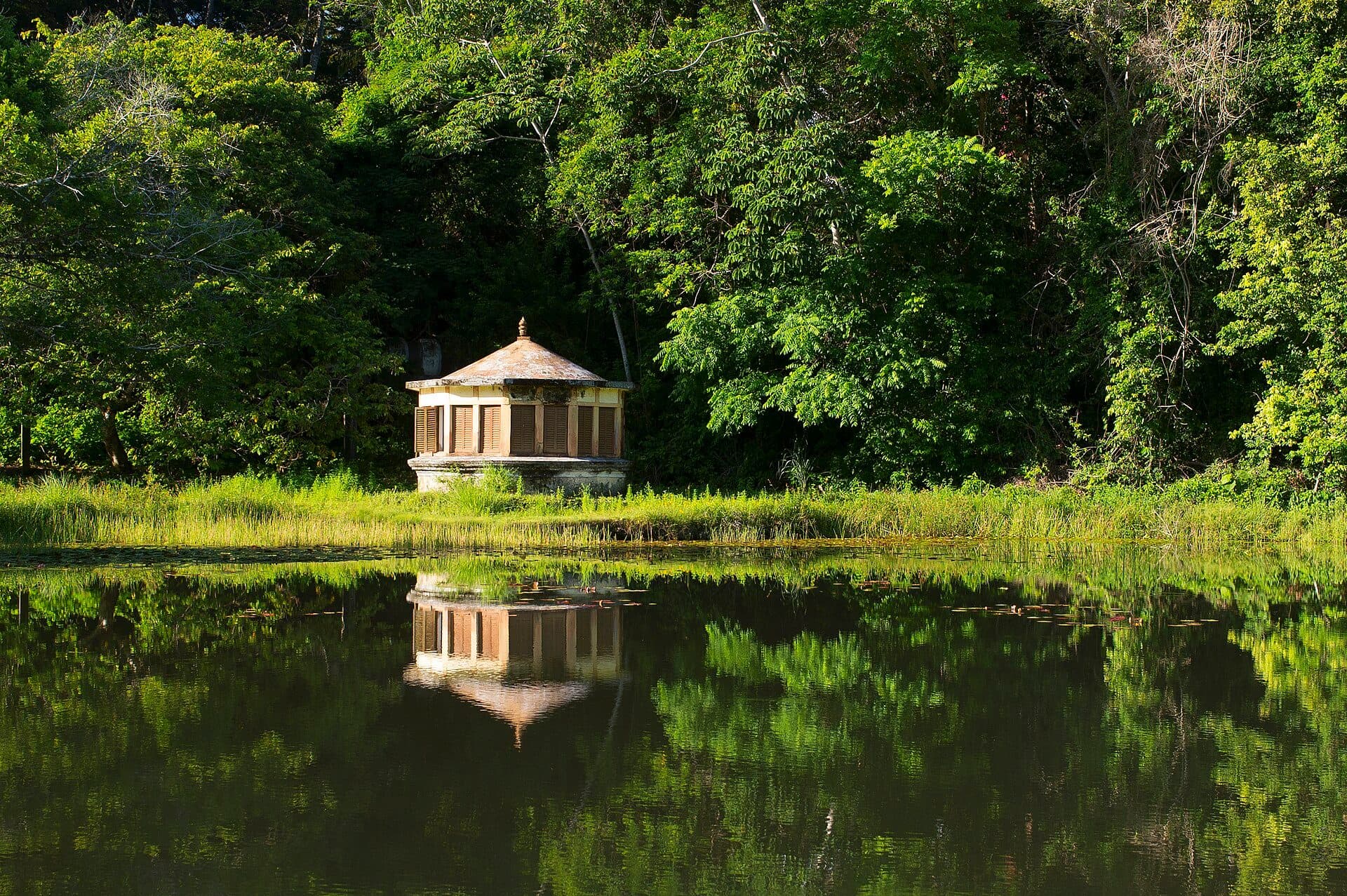 Vista do Jardim Botânico Benjamin Maranhão em João Pessoa, Paraíba