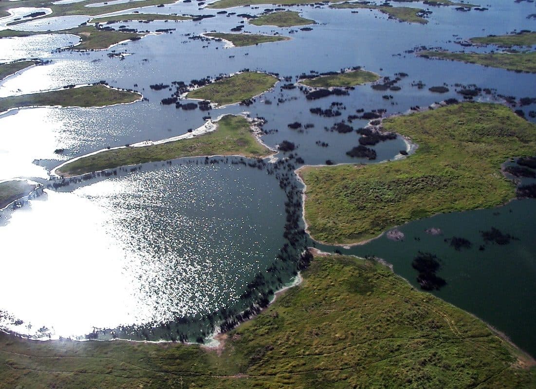 Paisagem natural do Pantanal no centro-sul da América do Sul