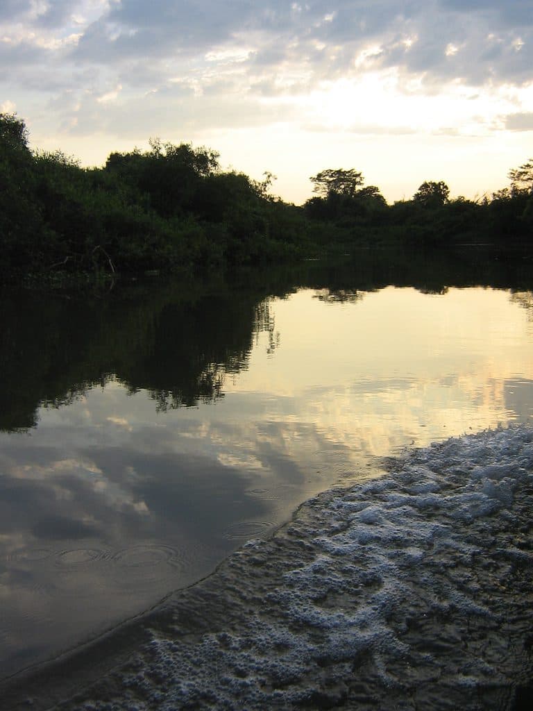 Vista do Rio Miranda em Mato Grosso do Sul