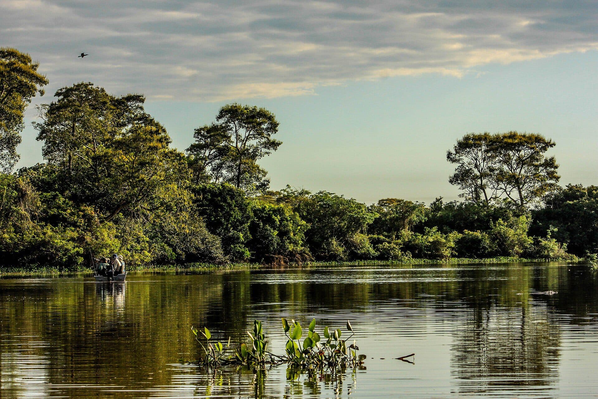 Vista de um rio no Parque Nacional do Pantanal Matogrossense