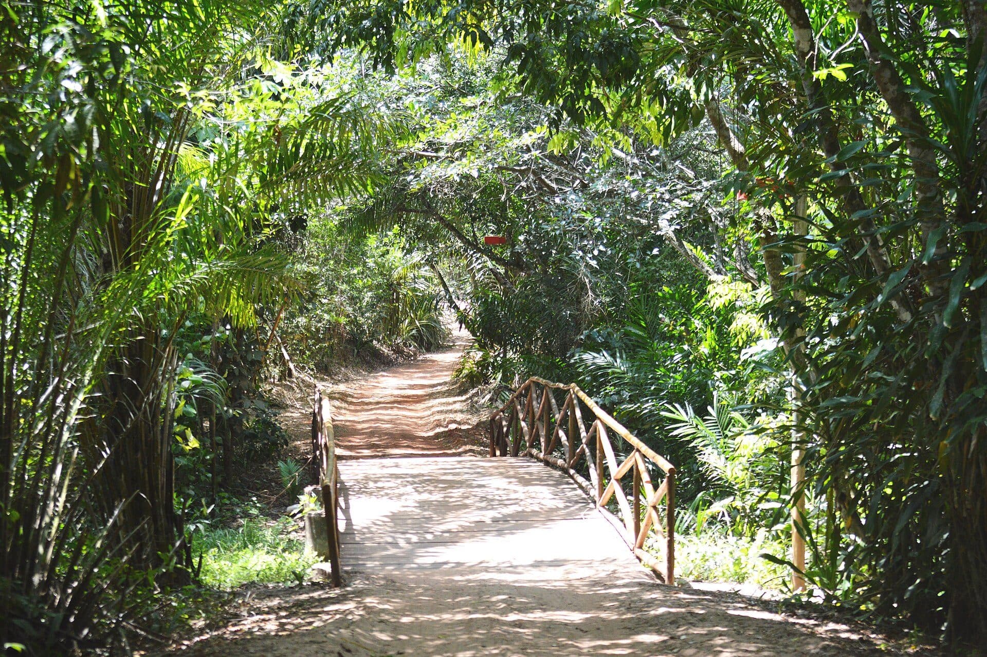Paisagem natural da Reserva Sapiranga em Mata de São João na Bahia