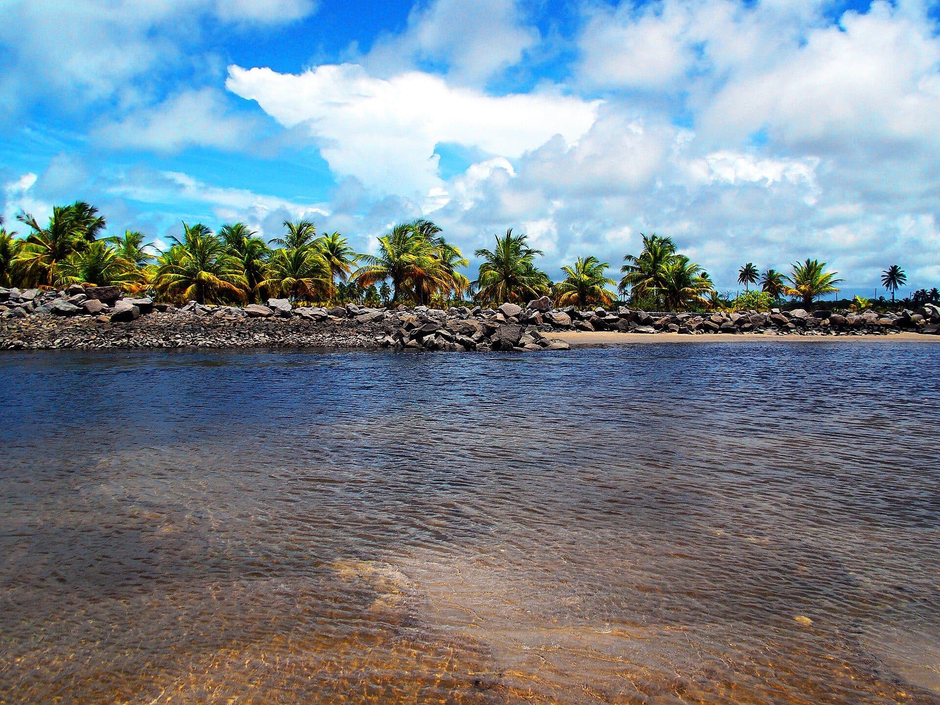 Vista da paisagem natural do Rio Maracaípe em Pernambuco