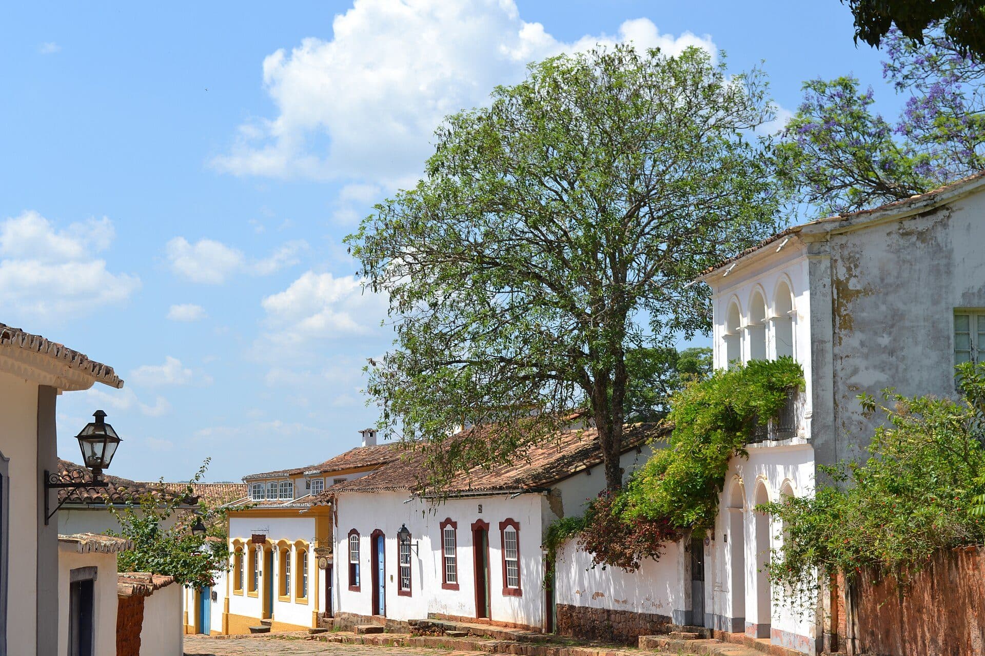 Árvore no centro histórico de Tiradentes, Minas Gerais