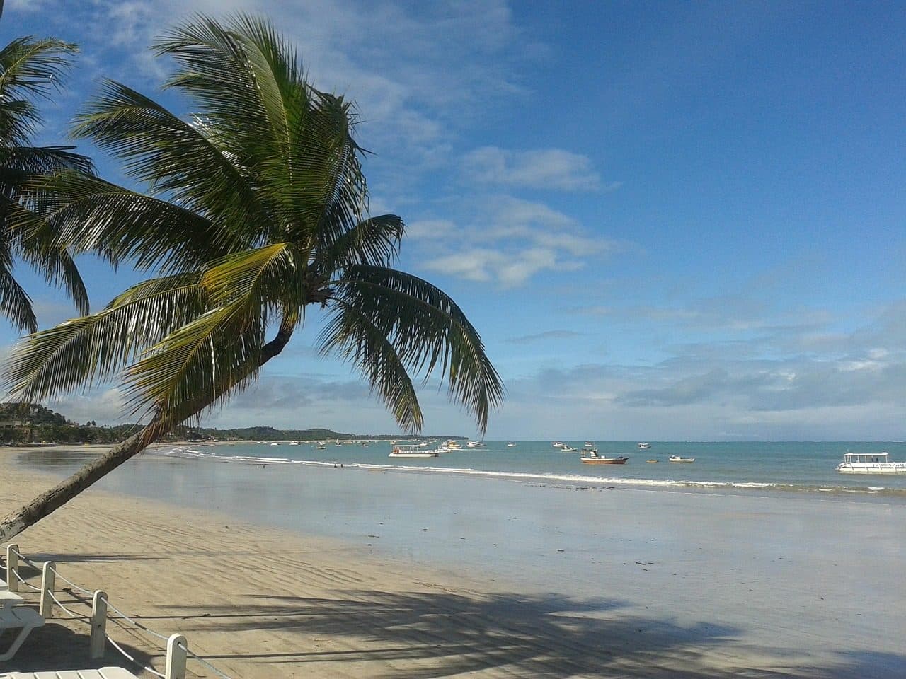 Praia ensolarada em Maragogi, Alagoas, com coqueiros à beira do mar