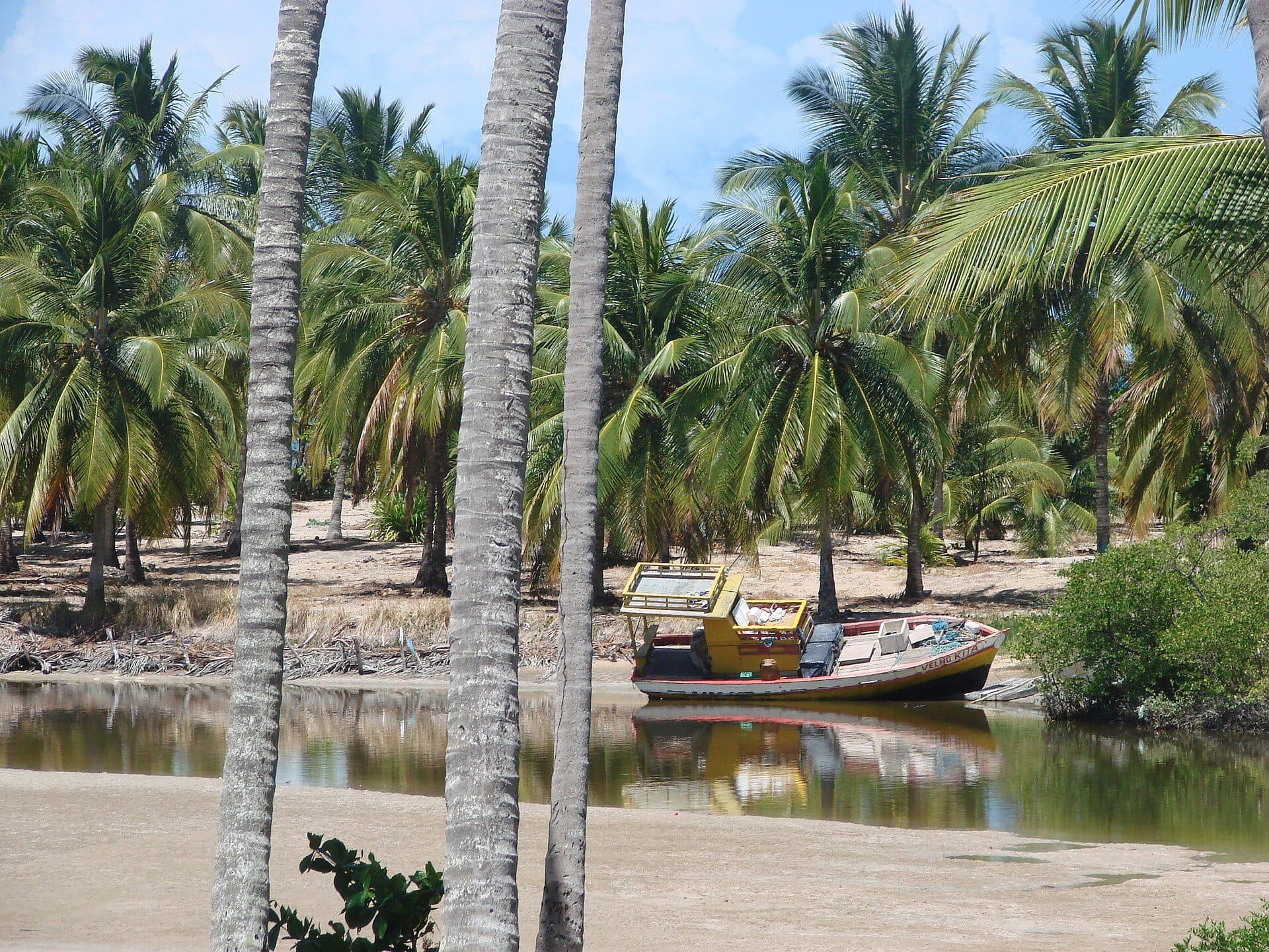 Vista do Rio Maragogi em Alagoas, Brasil