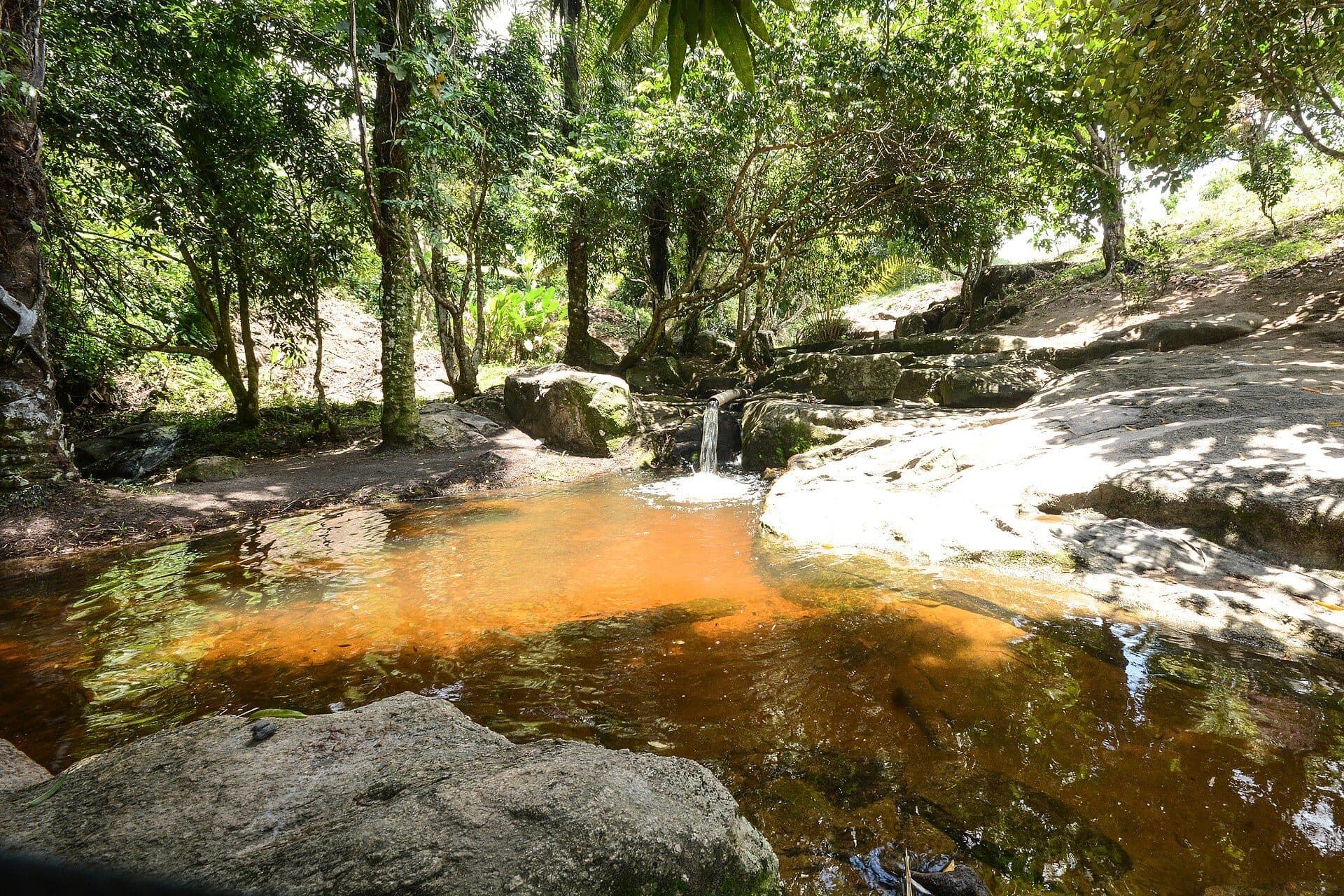Vista da Trilha do Visgueiro em Maragogi, Alagoas