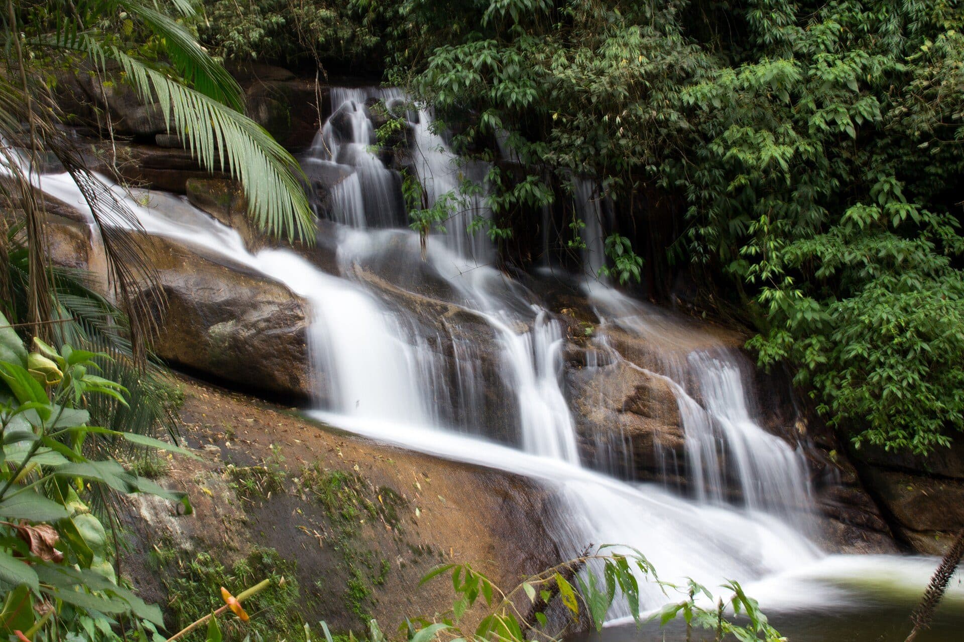 Vista da Cachoeira da Pedra Branca cercada por vegetação em Paraty