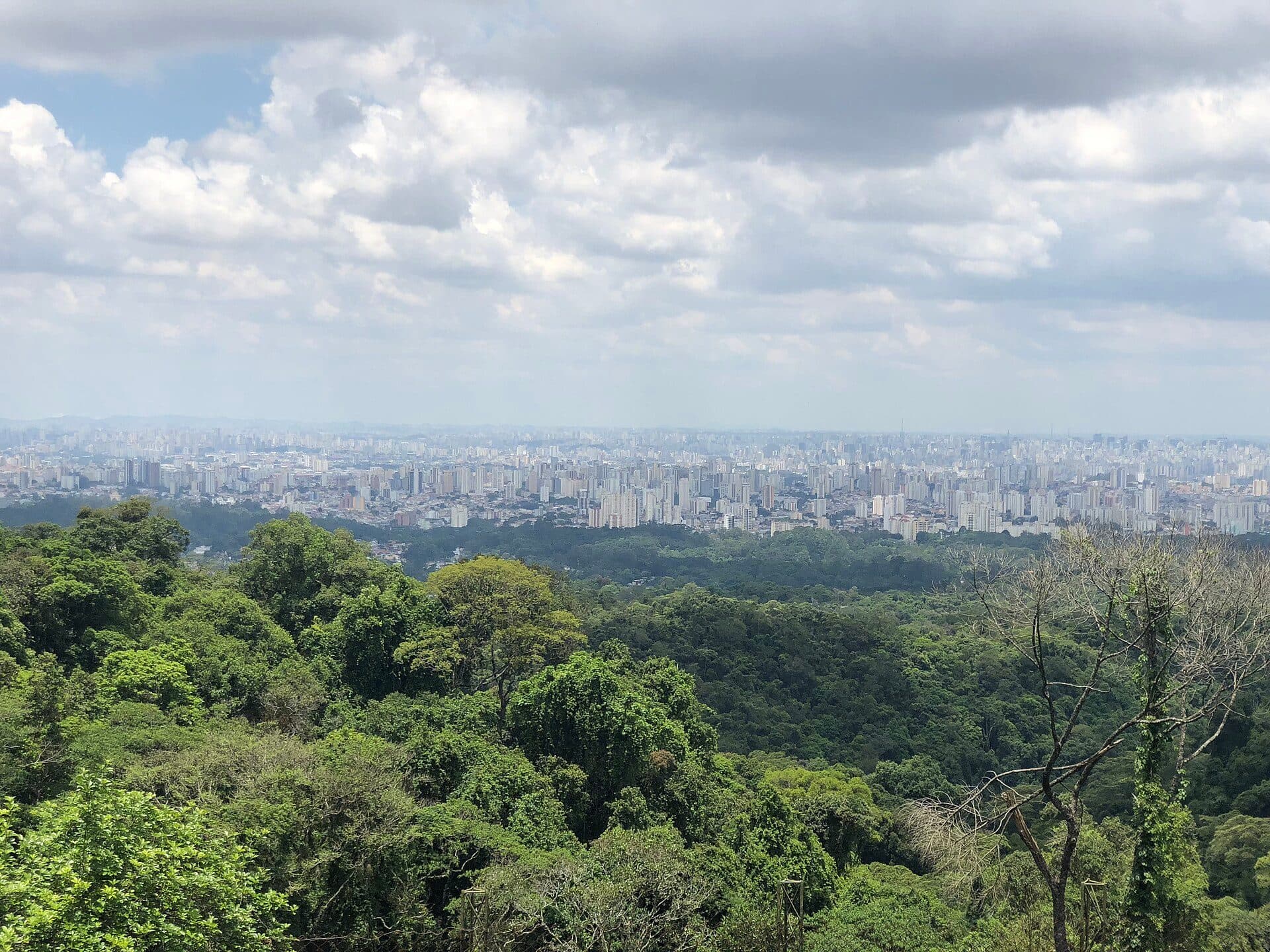 Vista da Serra da Cantareira na Zona Norte de São Paulo