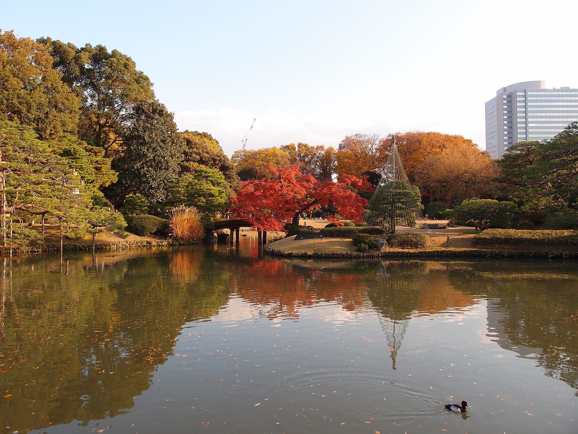 Vista da paisagem e vegetação no Jardim Rikugien em Komagome