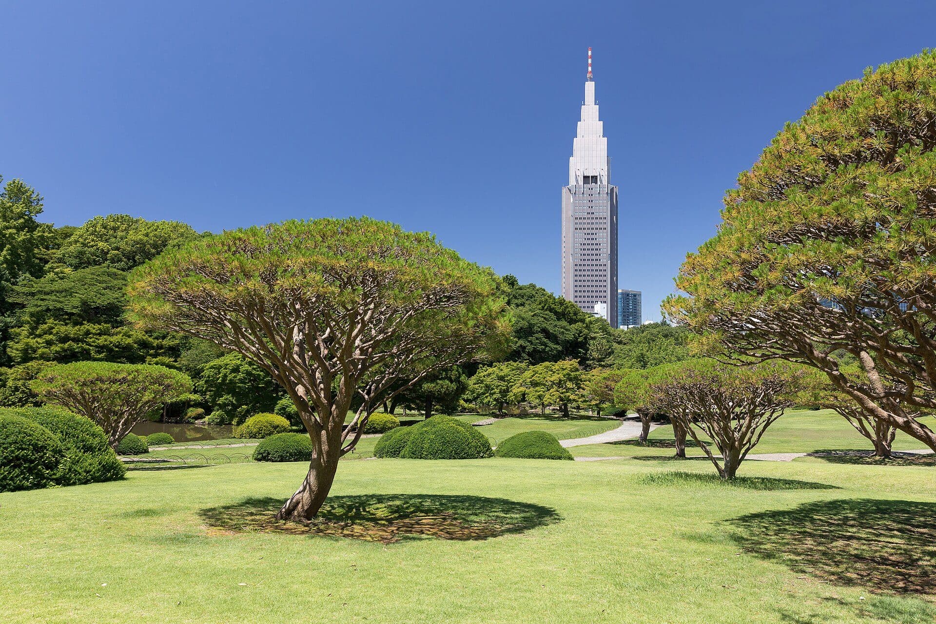 Vista do Shinjuku Gyoen National Garden e do edifício NTT DoCoMo Yoyogi Building em Tóquio