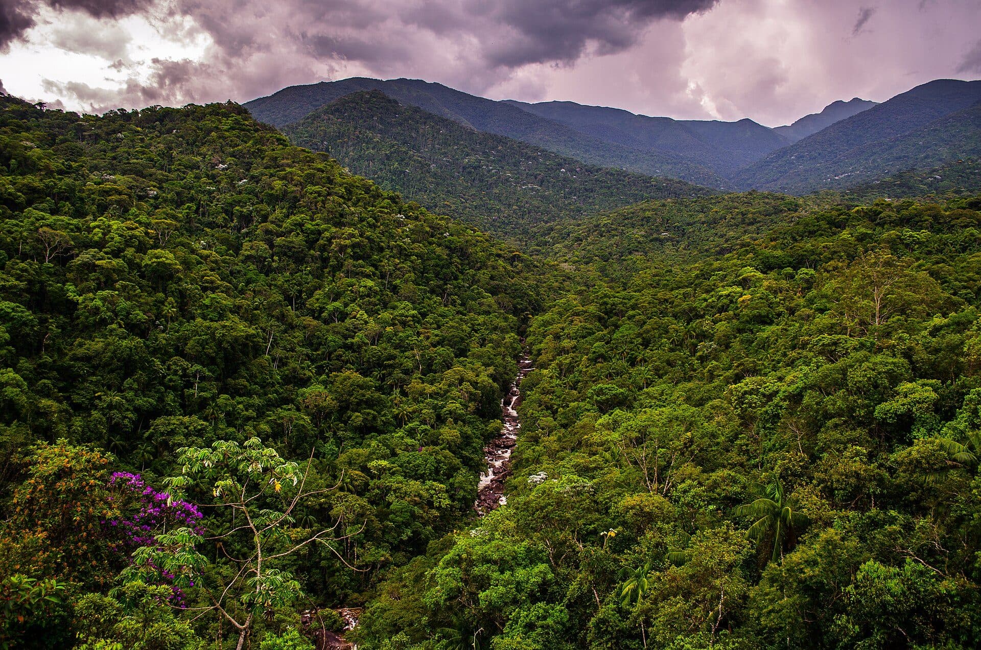 Vista da paisagem natural no Parque Nacional de Itatiaia