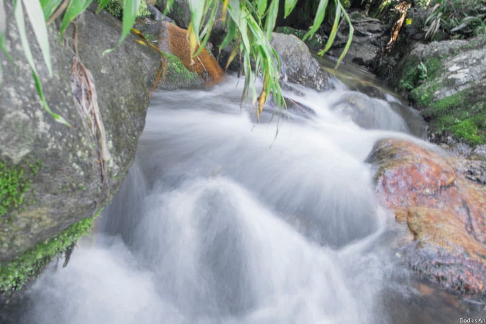 Vista da Cachoeira do Indiana Jones em Nova Friburgo